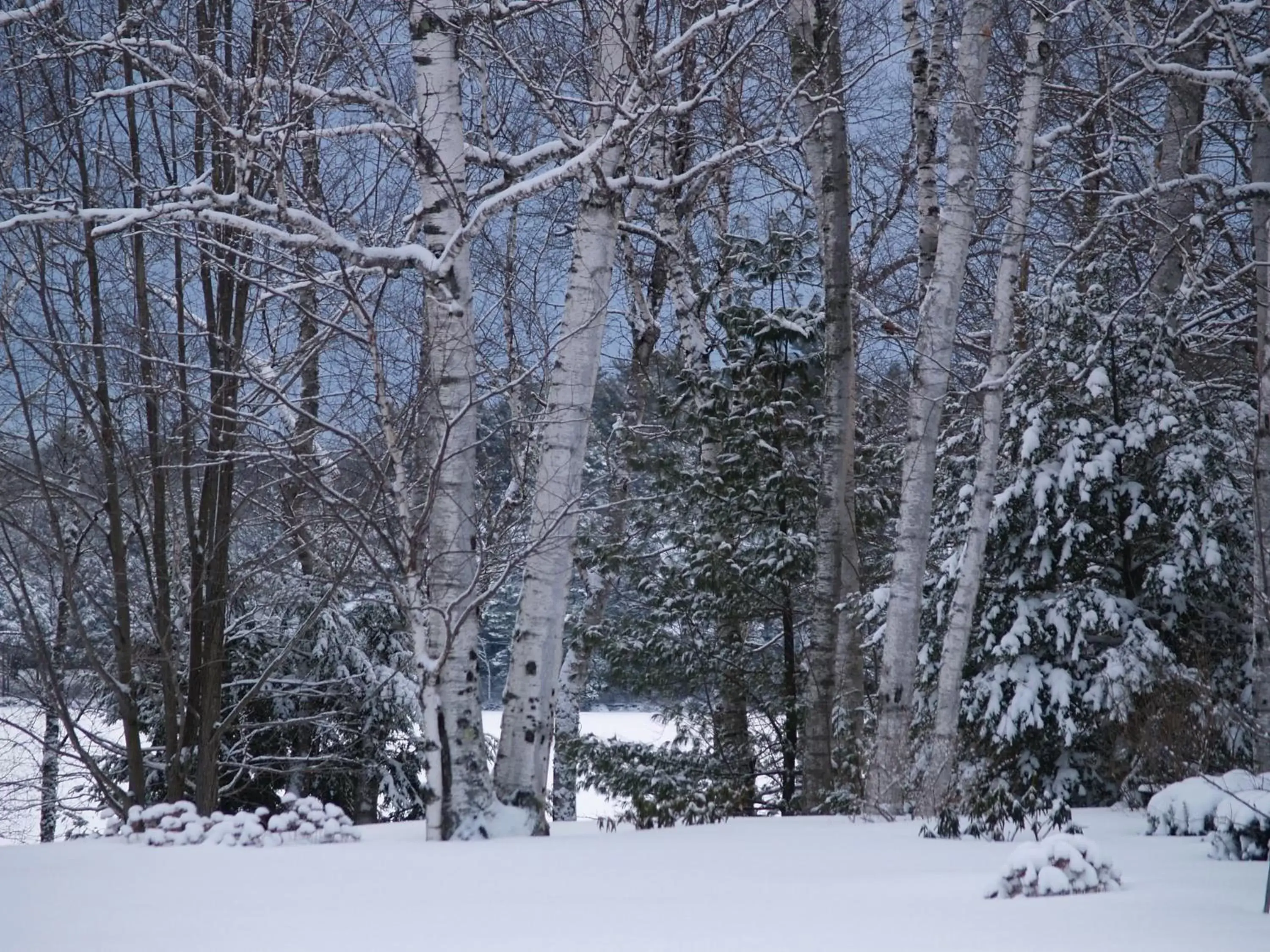 Winter in Wilson Lake Inn