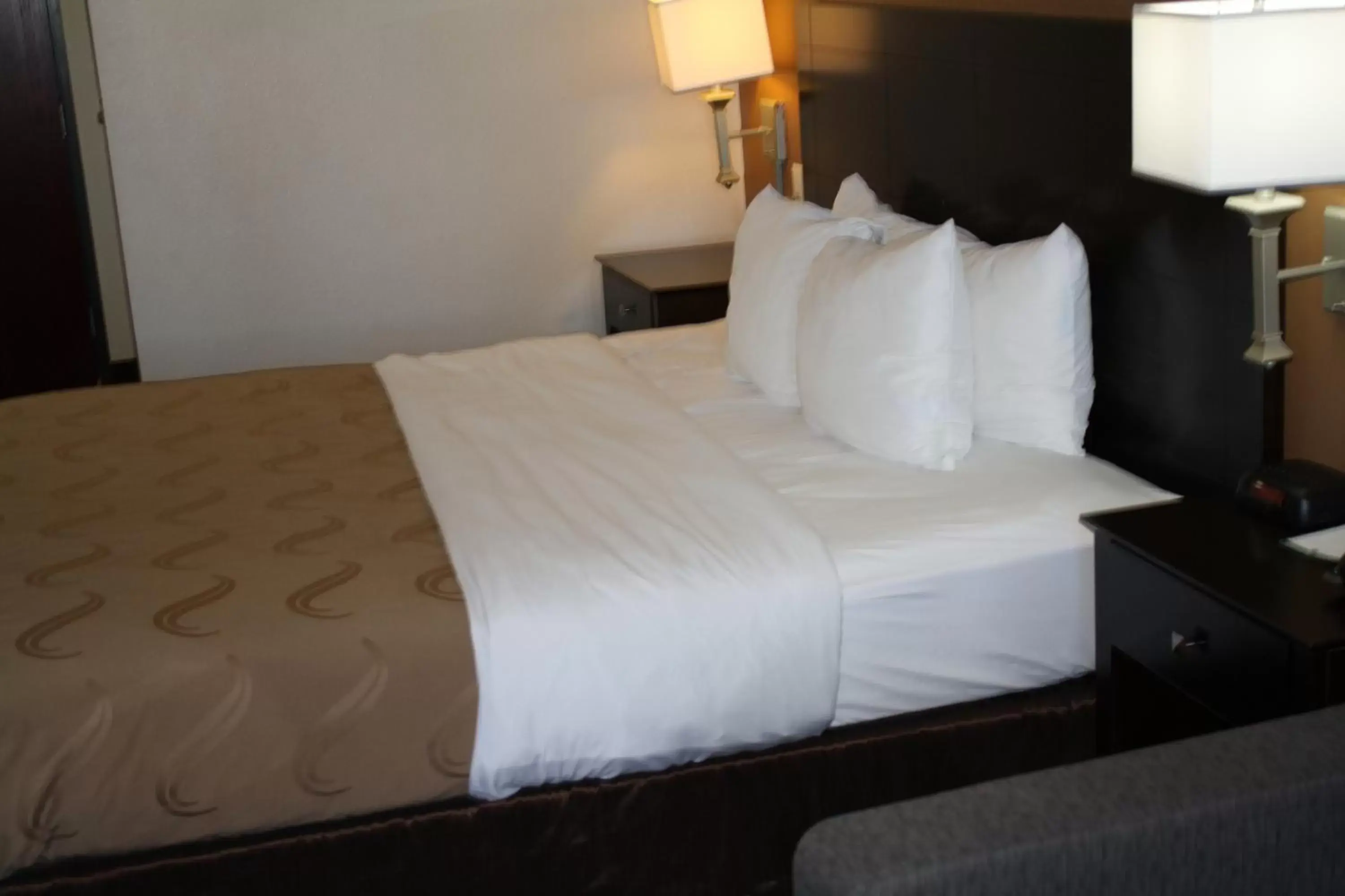 Bed in Quality Inn & Suites Wichita Falls I-44