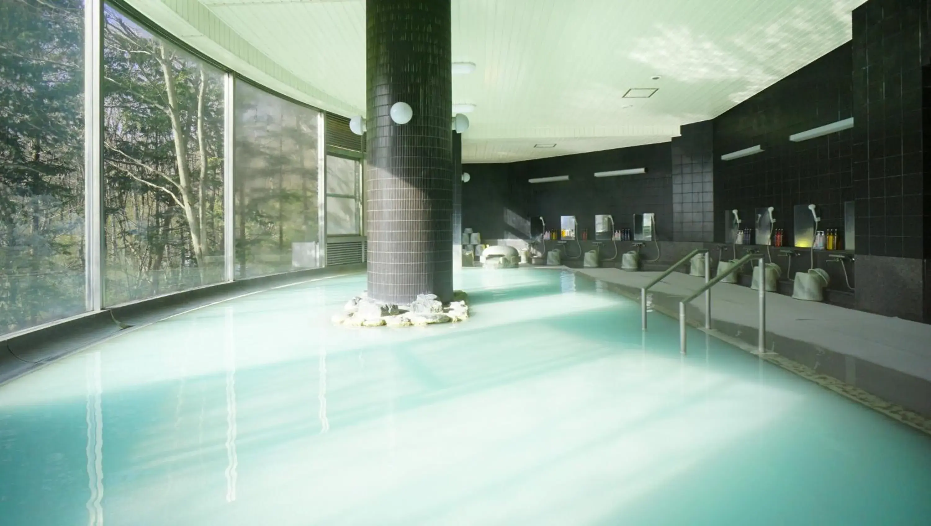 Hot Spring Bath, Swimming Pool in Hotel Laforet Nasu