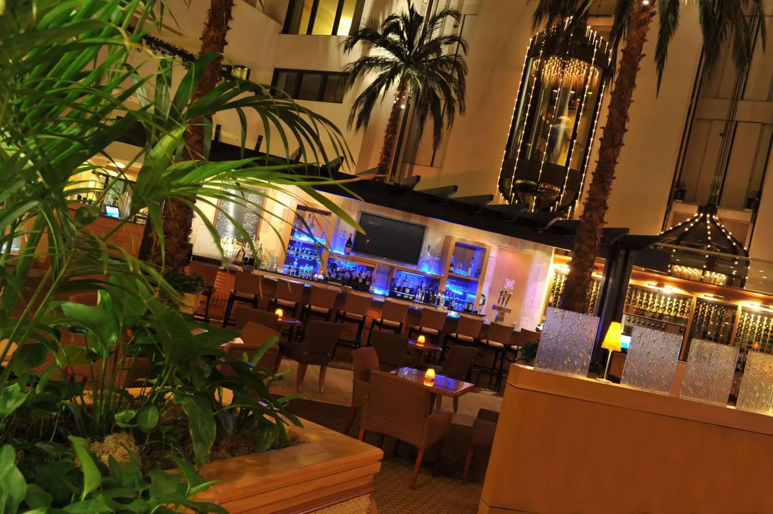 Lounge or bar, Restaurant/Places to Eat in Hilton Orange County/Costa Mesa