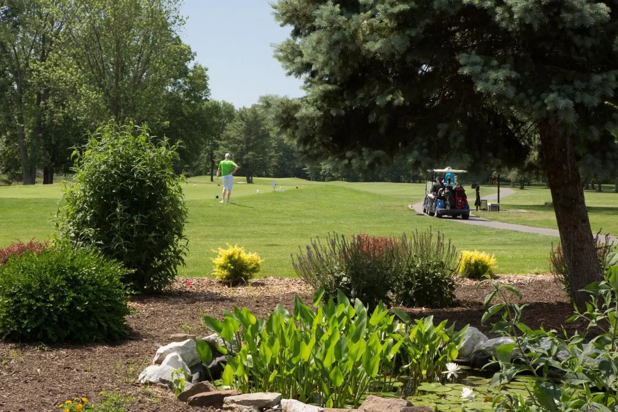 Area and facilities in Holiday Inn Washington-Dulles International Airport, an IHG Hotel