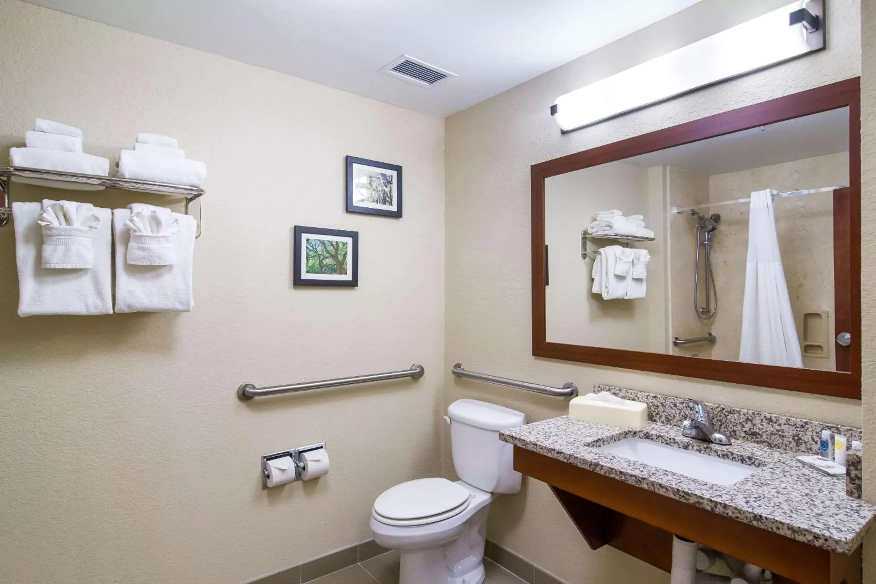 Bathroom in Comfort Inn Blackshear Hwy 84