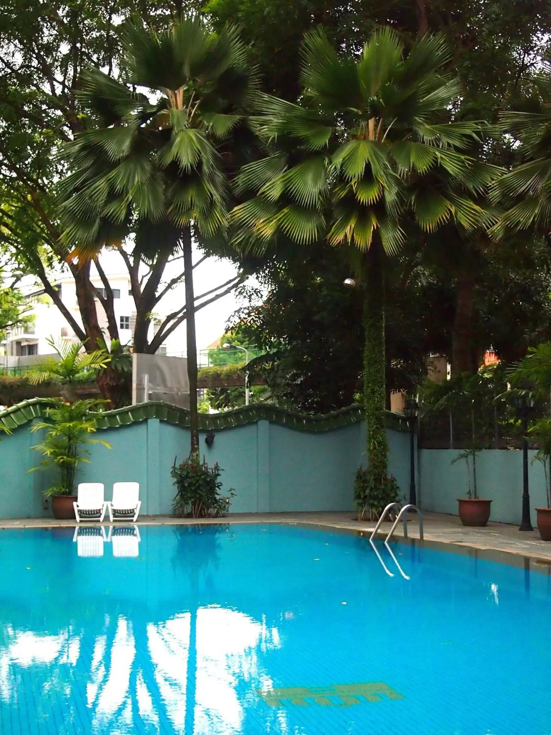 Swimming pool in Hotel Royal
