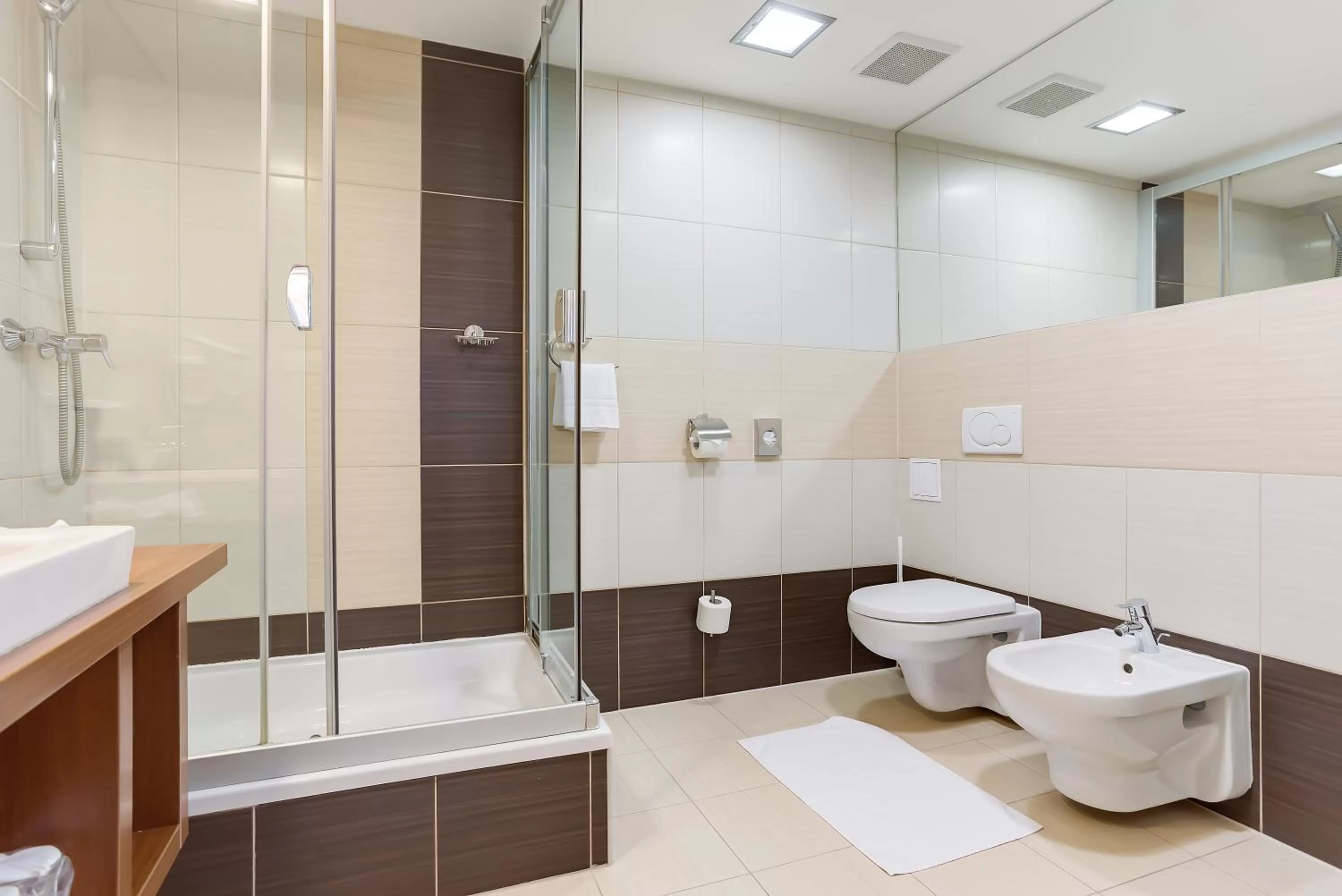 Toilet in Hotel Janosik