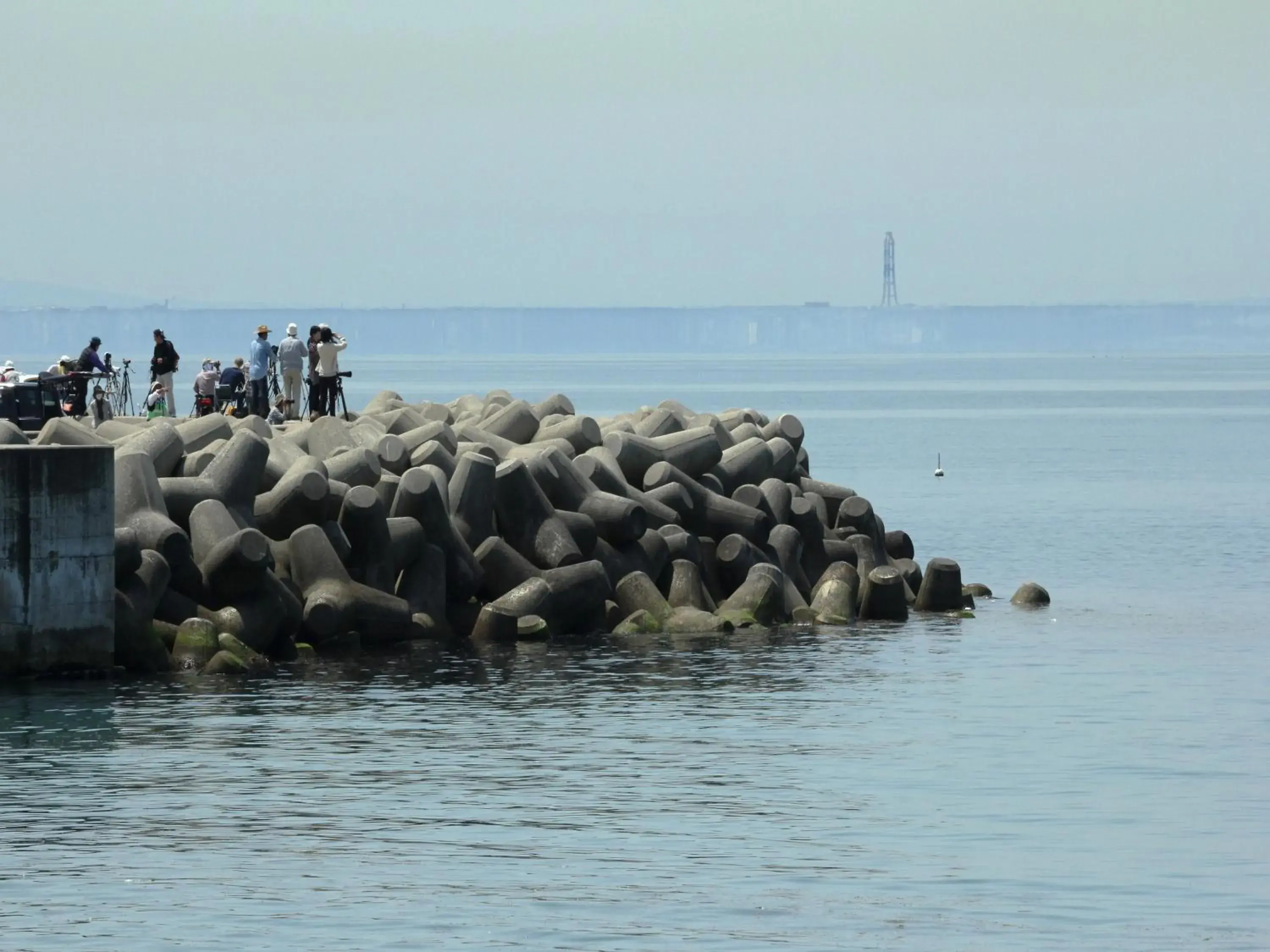 Natural landscape, Other Animals in Apa Hotel Uozu-Ekimae