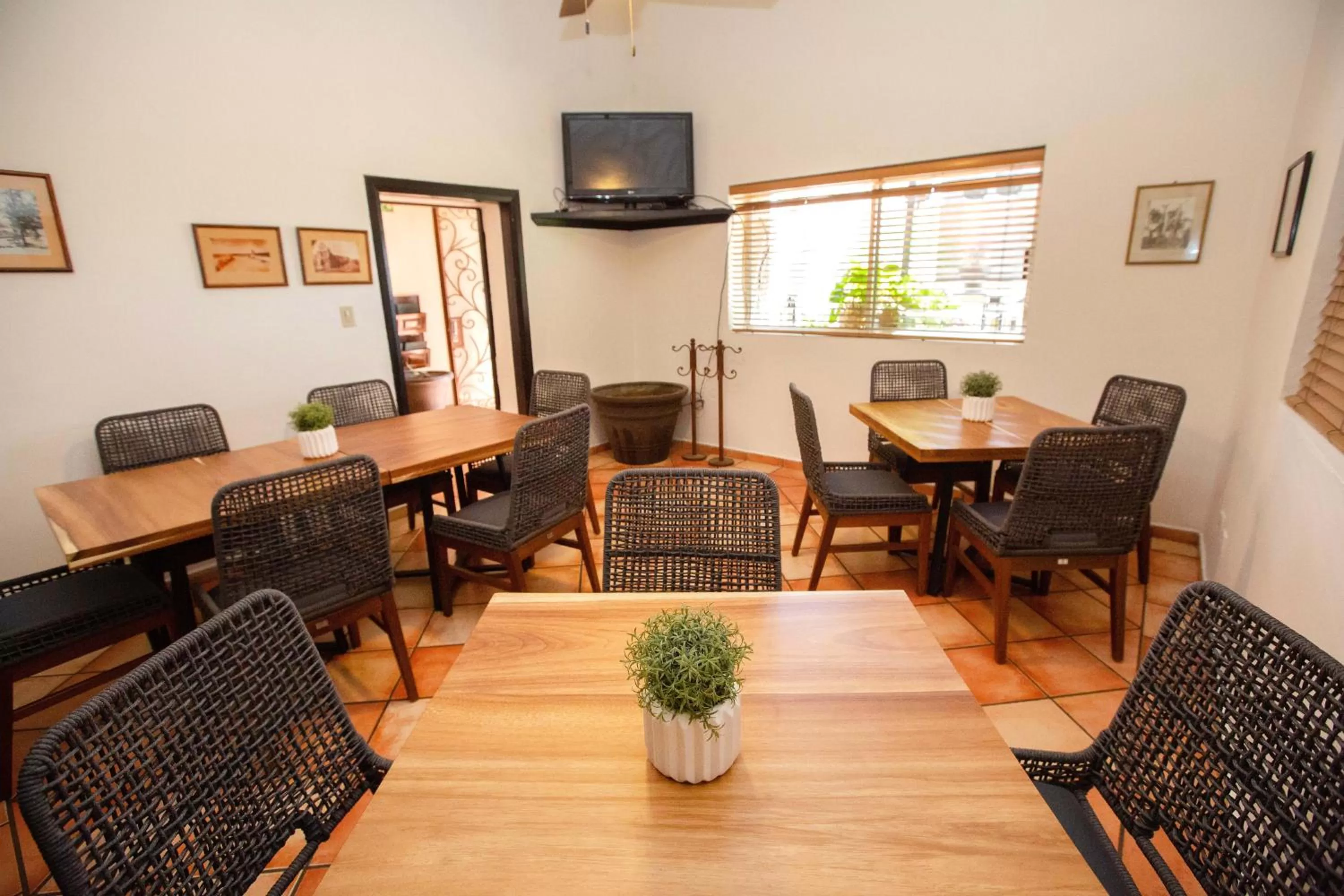 Restaurant/places to eat in Hotel Posada Terranova