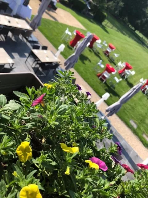 Spring in B&B Sasput