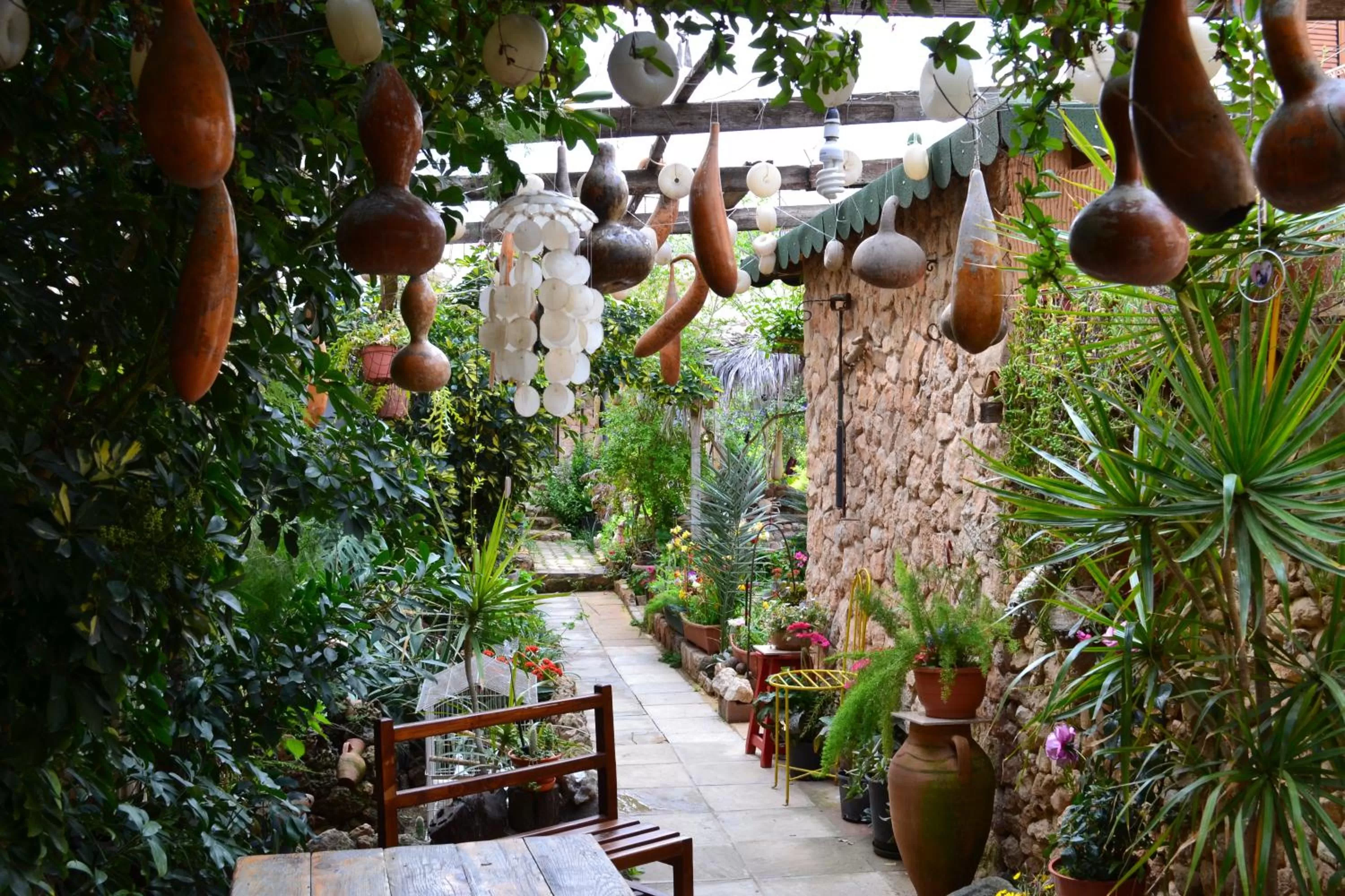 Garden in Mystery Garden Guest House