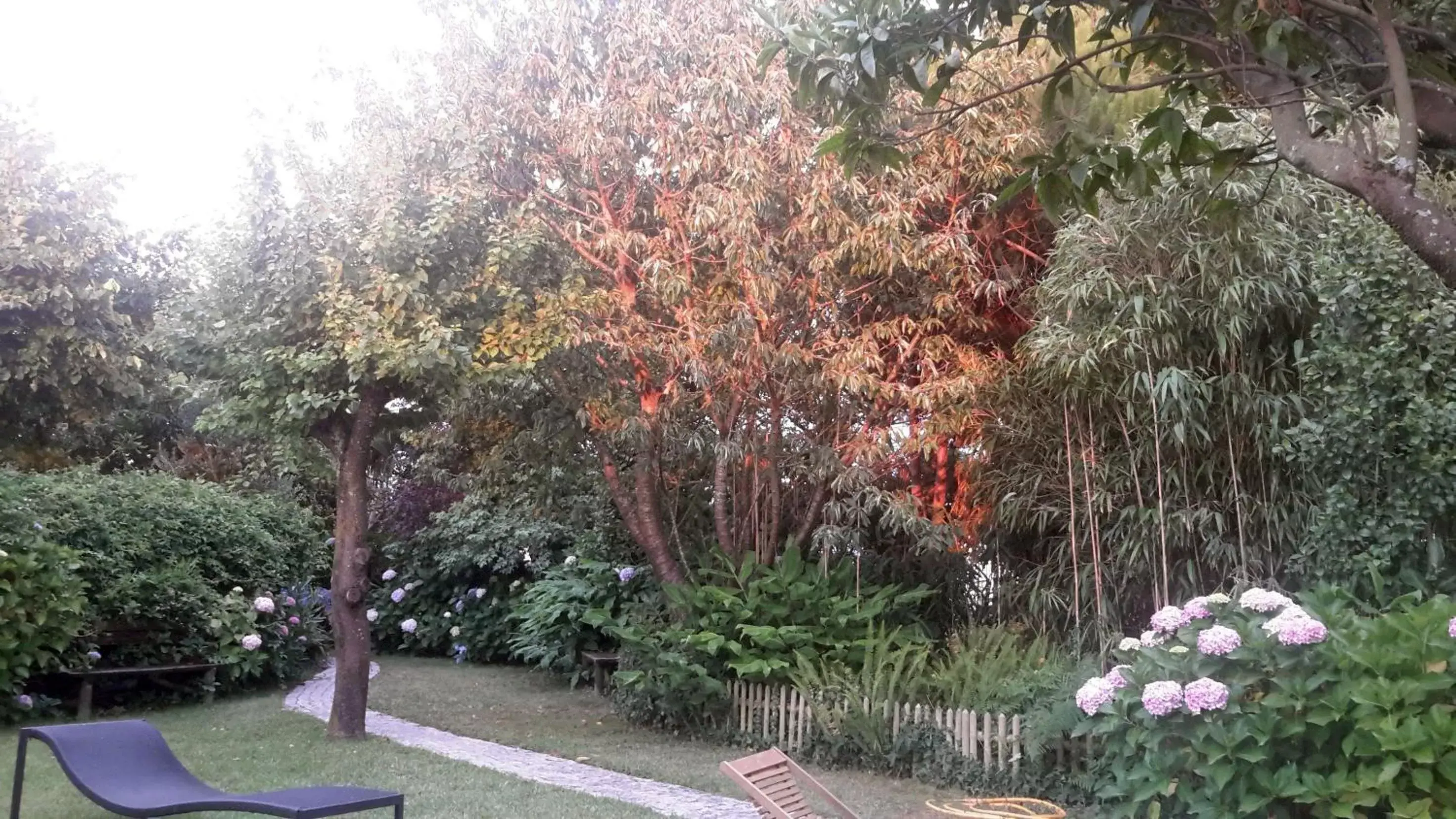 Garden in Casa 3 Águias