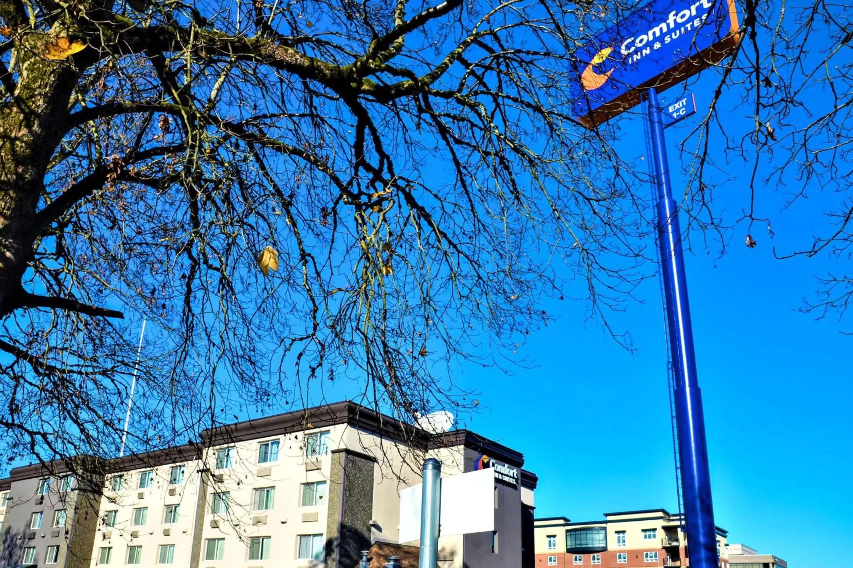 Property building in Comfort Inn & Suites Vancouver Downtown City Center