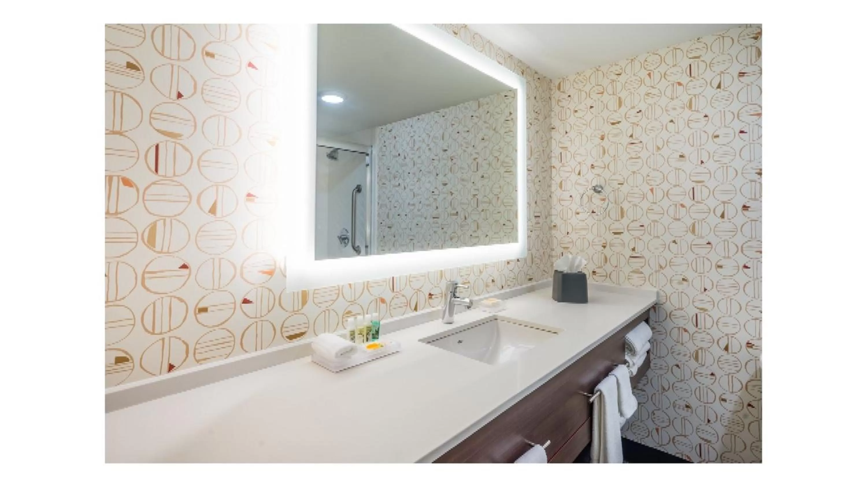 Bathroom in Holiday Inn Roanoke Airport - Conference CTR by IHG