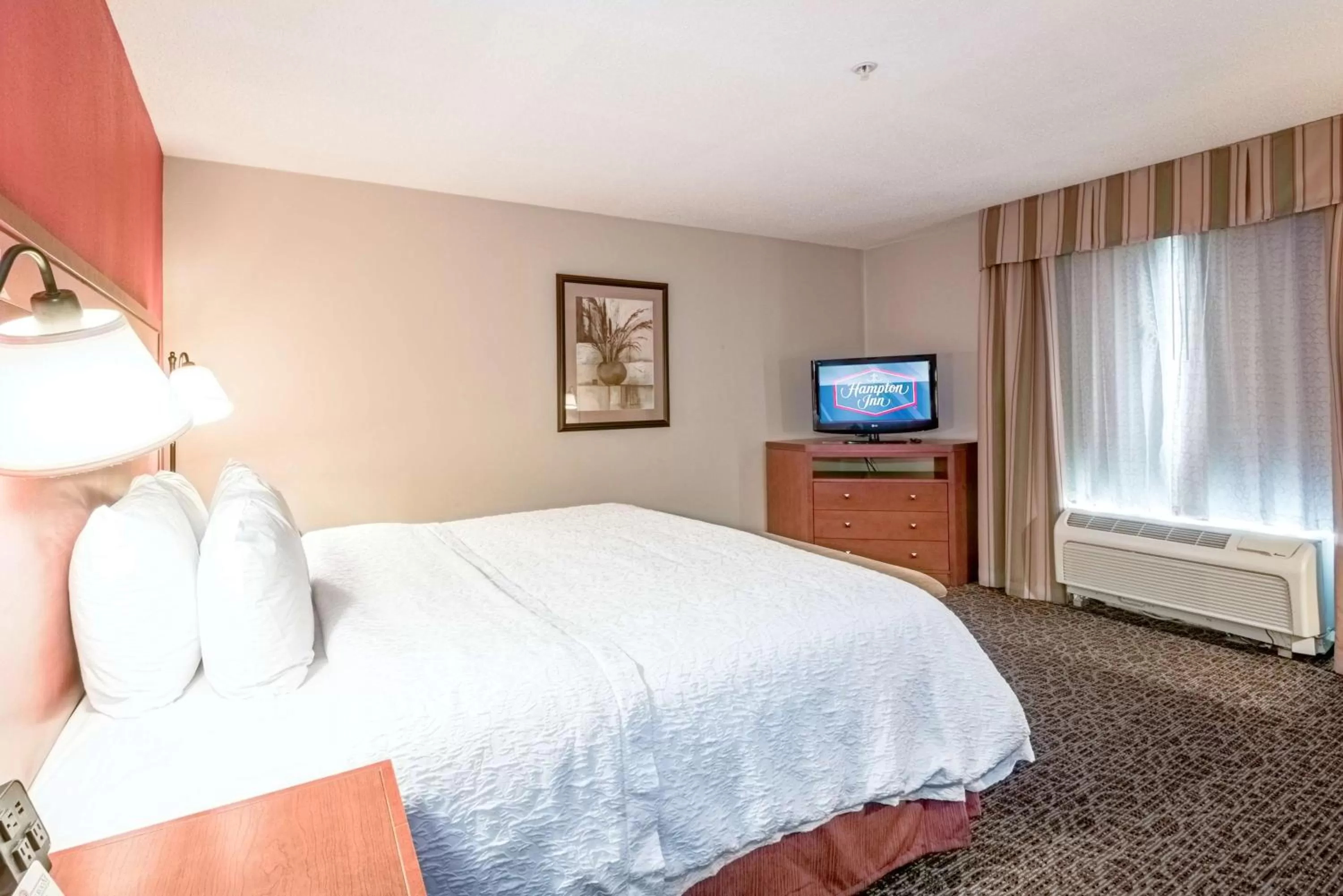 King Room with Roll-In Shower - Disability Access in Hampton Inn Montgomery-South-Airport