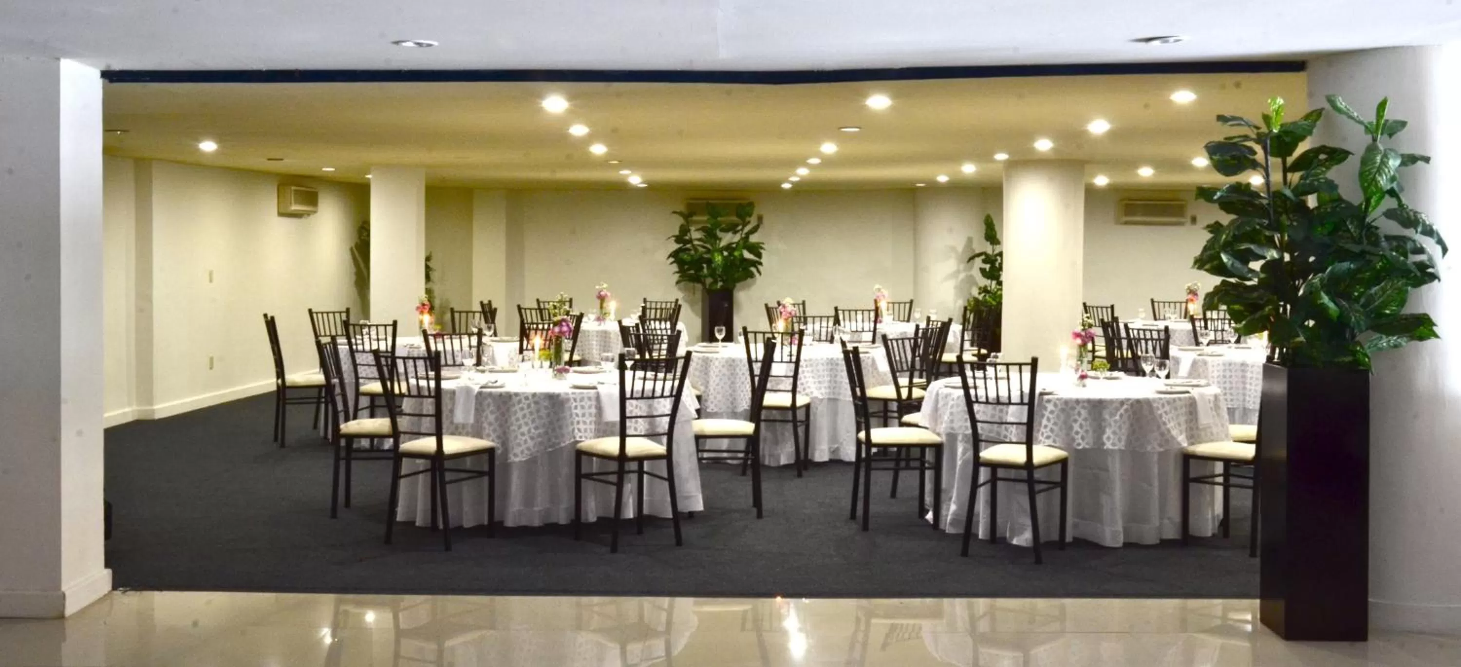 Restaurant/places to eat in Mision Monterrey Centro Historico