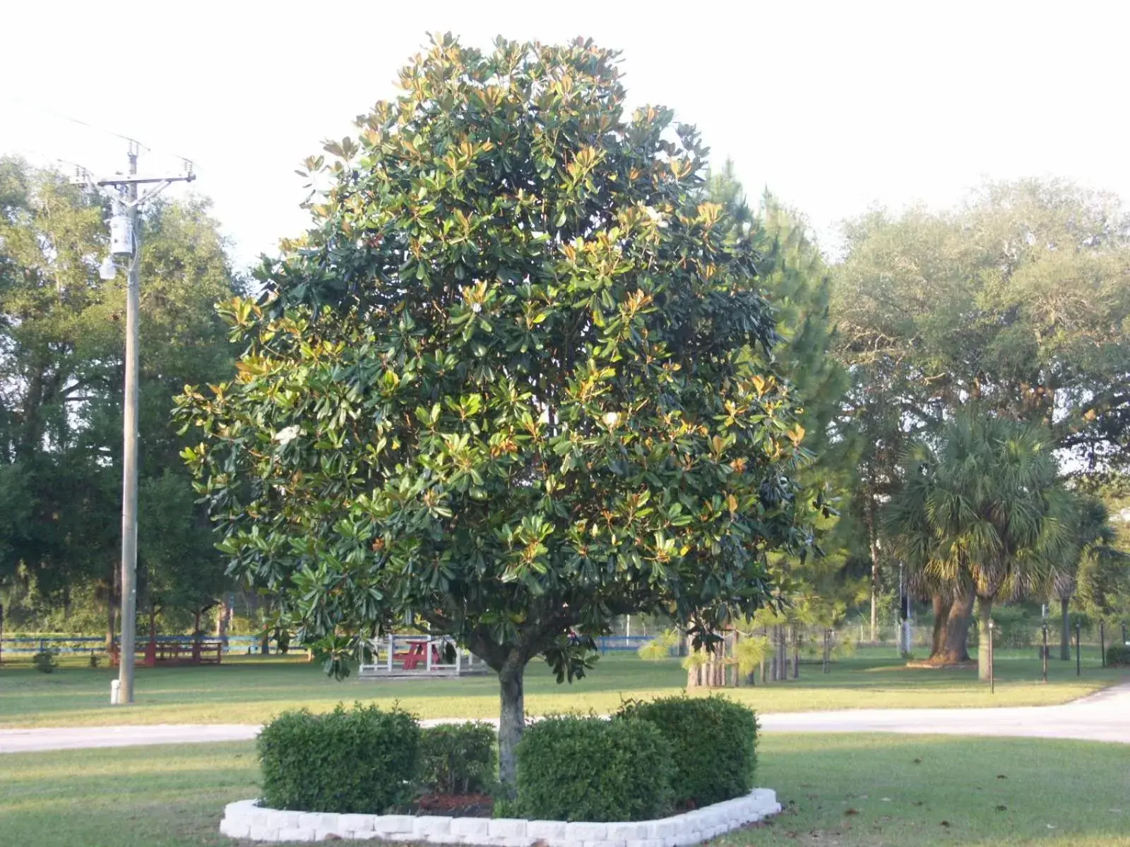 Natural landscape, Garden in Deerwood Inn & Madison Campground