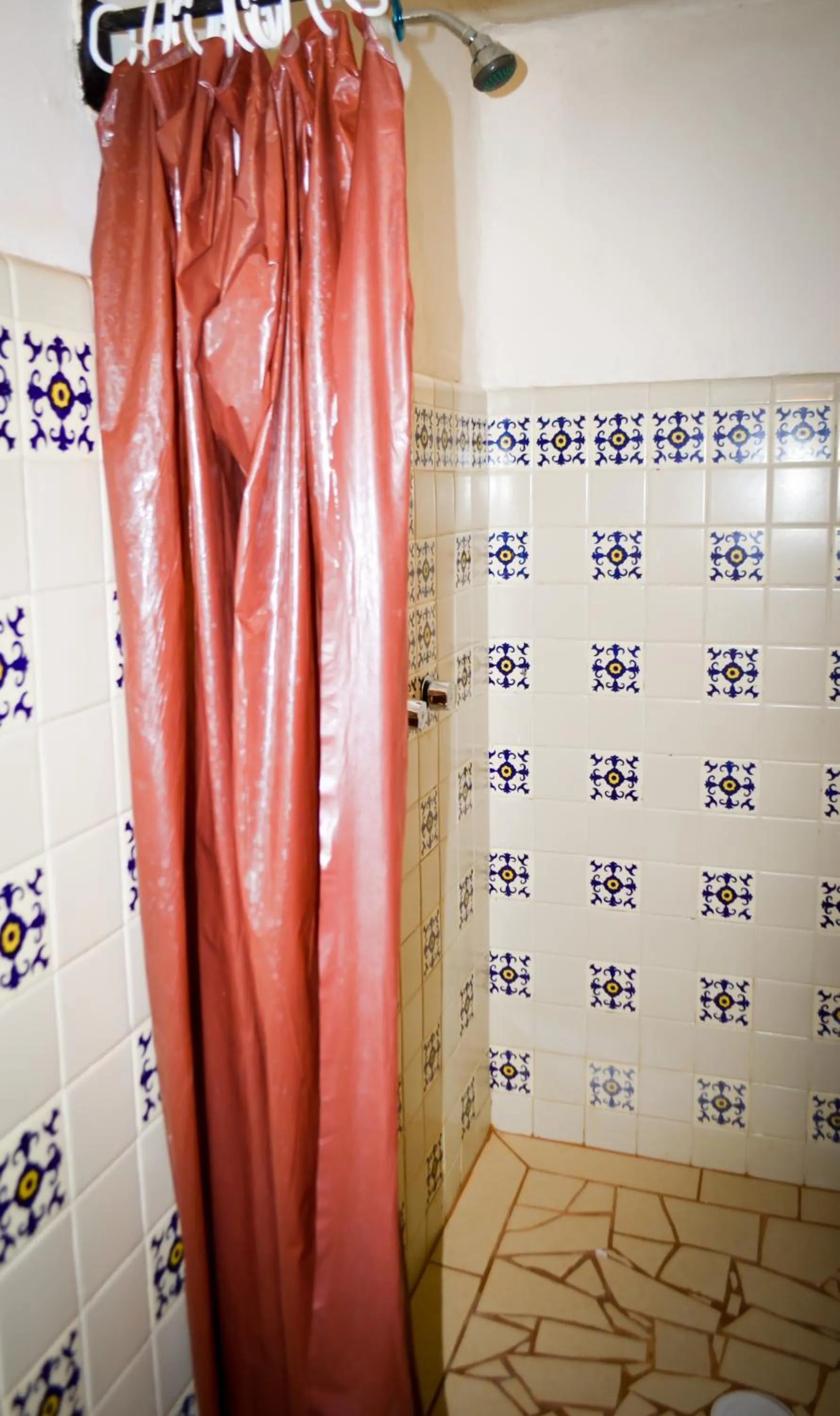 Shower in Hotel Villa de Flores