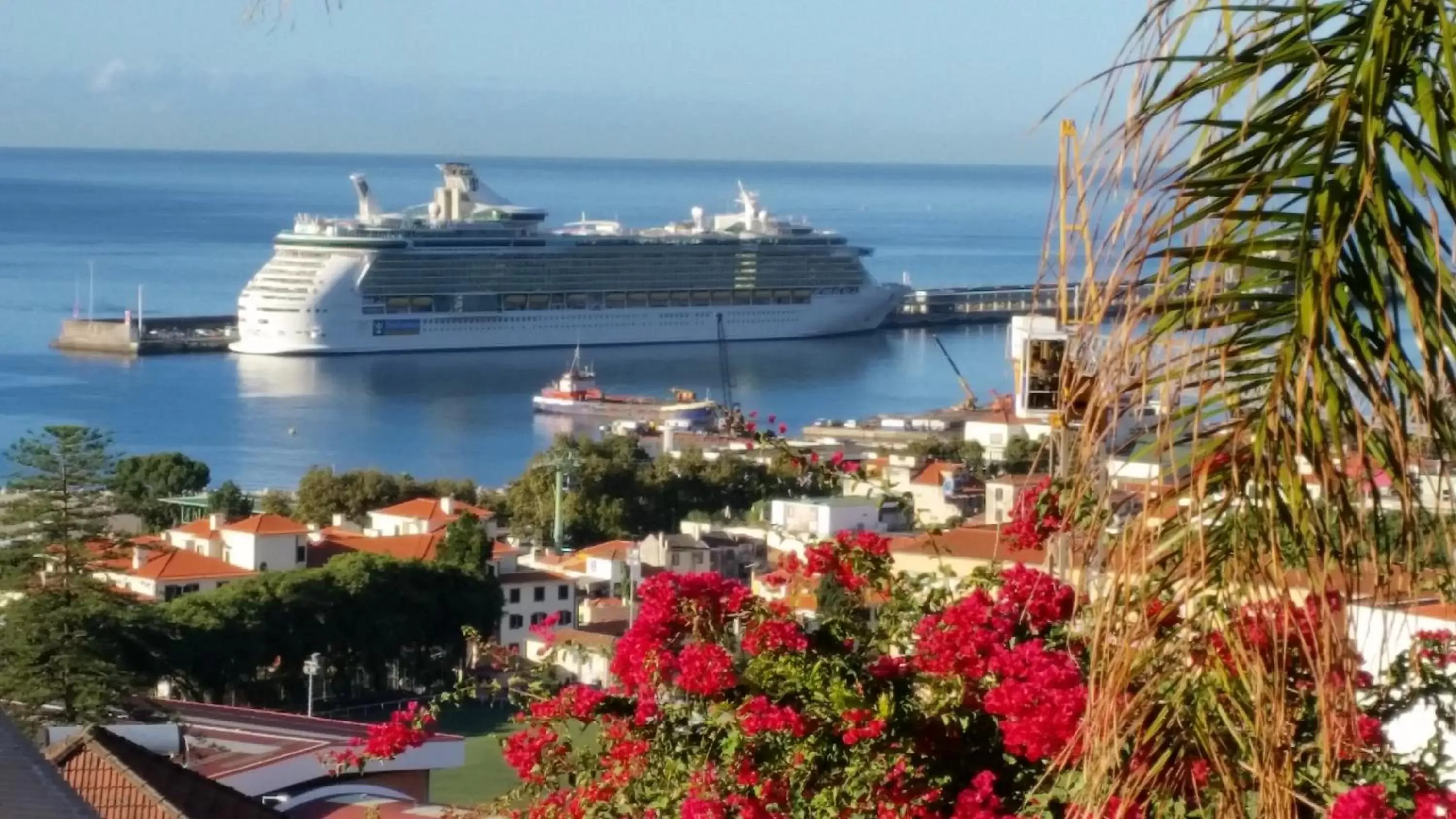 Natural landscape, Sea View in ARTS IN Hotel Conde Carvalhal