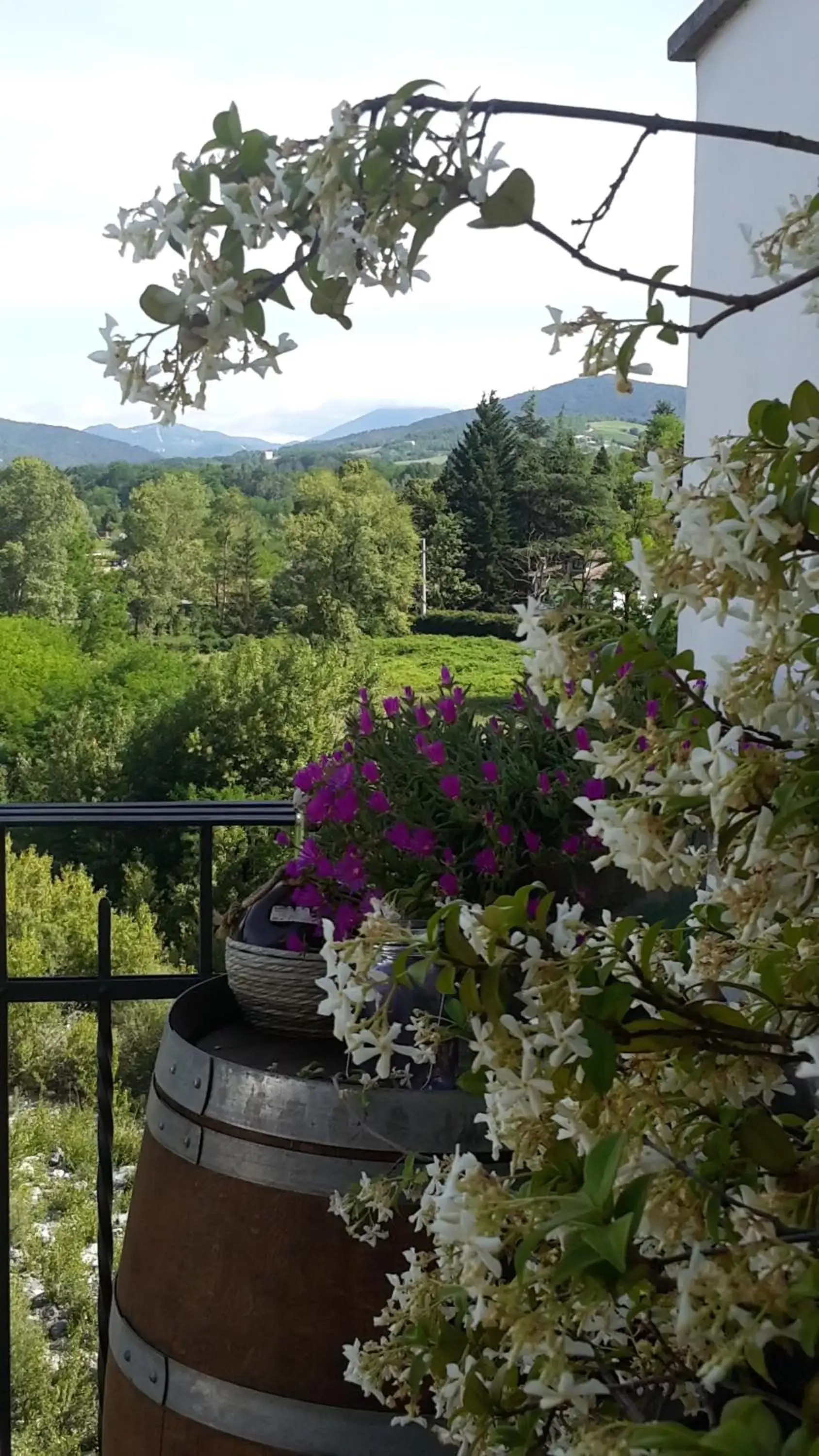 Balcony/Terrace in B&B Borgo Cortese