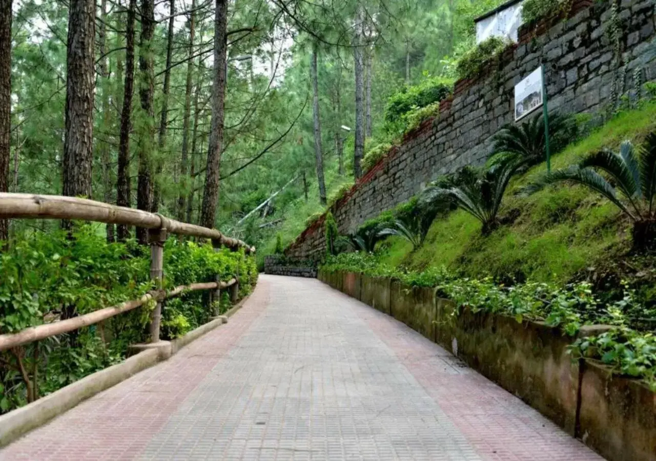 Natural landscape in Kasauli Hills Resort