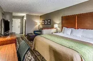 King Room with Tub - Mobility Accessible/Non Smoking in Comfort Inn & Suites