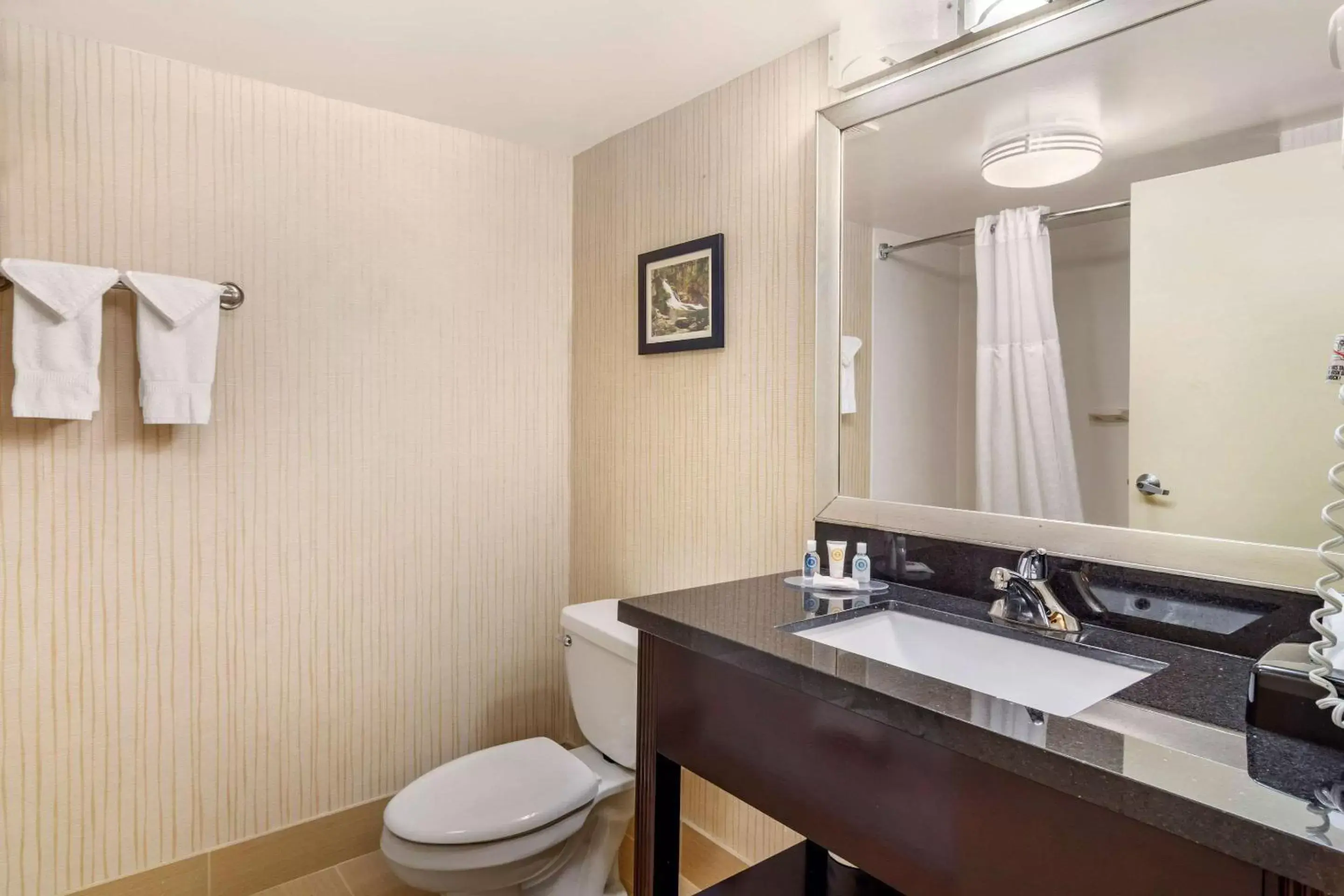 Photo of the whole room, Bathroom in Comfort Inn Douglasville - Atlanta West