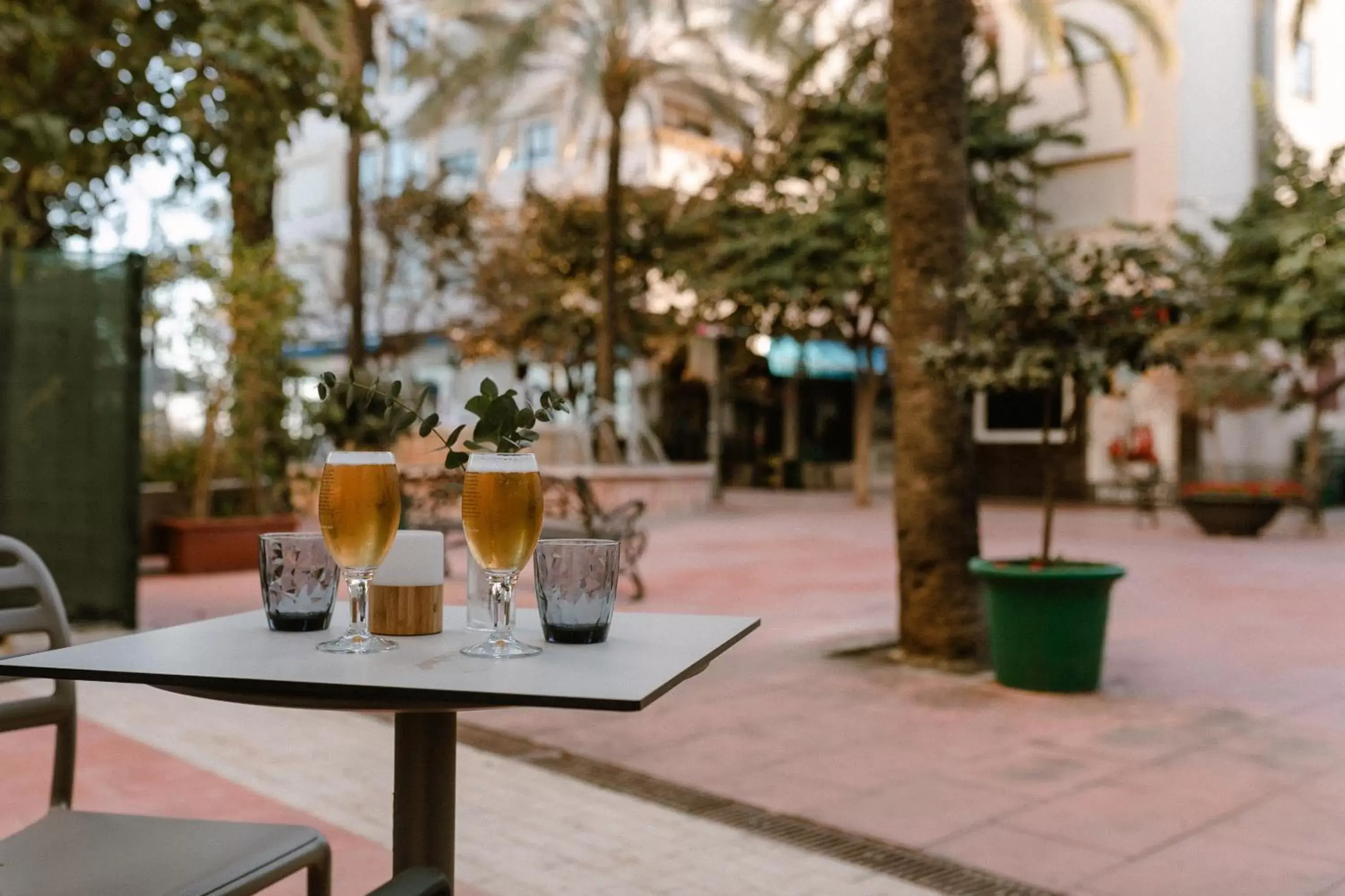 Food and drinks in Hotel Estepona Plaza