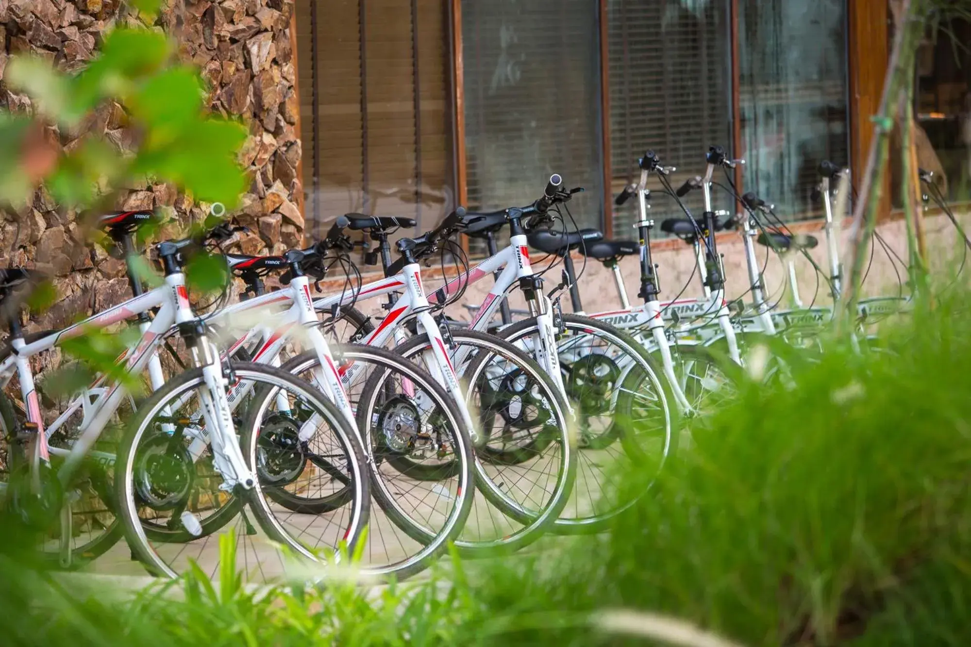 Cycling, Biking in U Pattaya