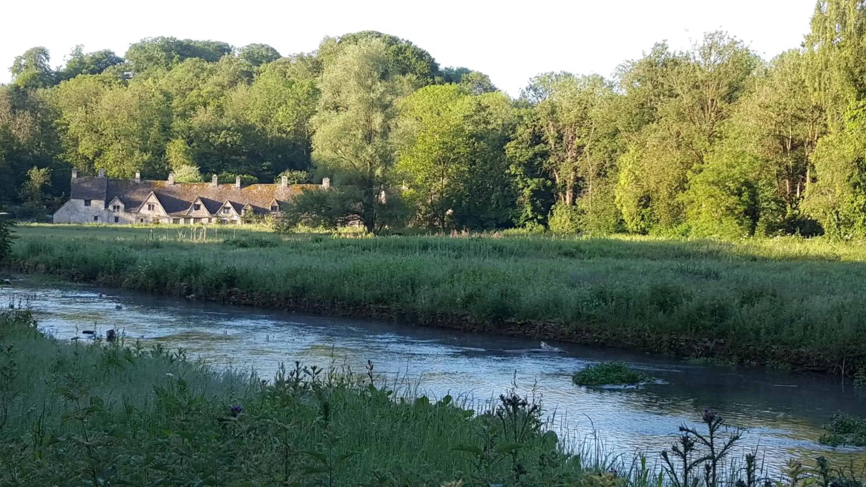 Natural landscape in The Swan Hotel