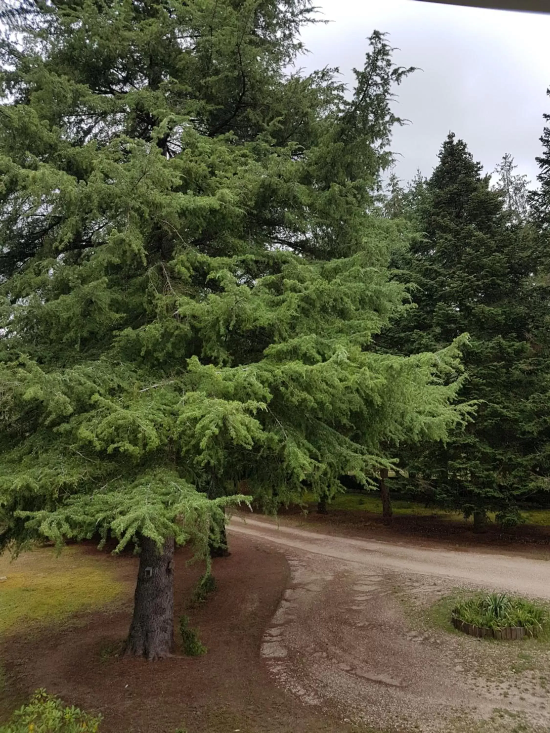 View (from property/room) in Le Clos des Écureuils