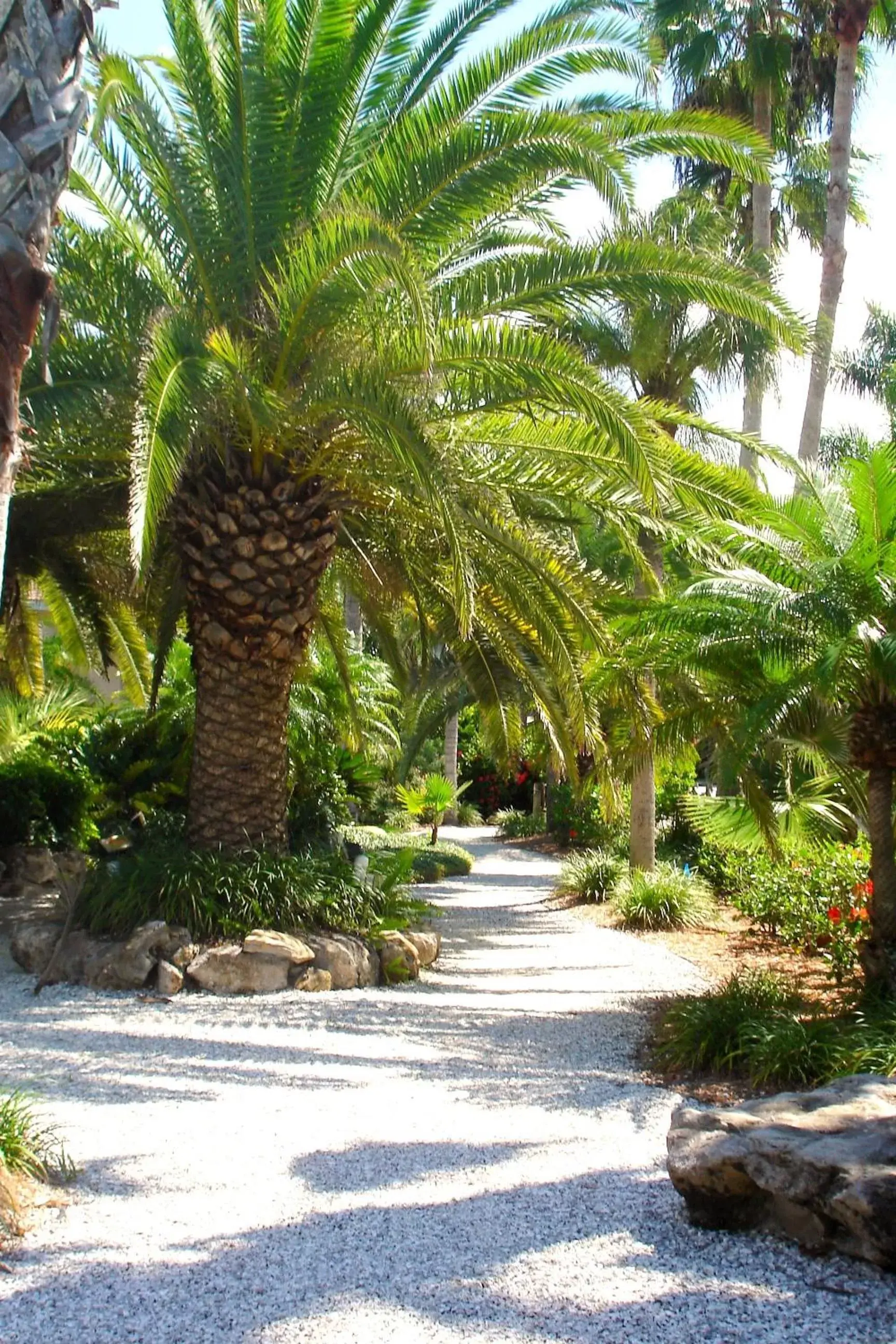 Garden in Tropical Beach Resorts - Sarasota