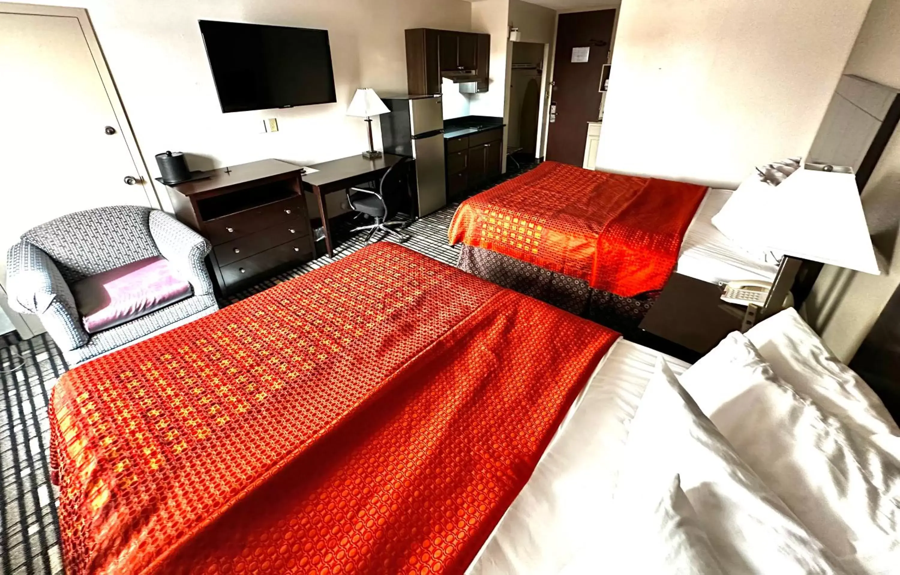 Guests, Bed in SureStay Plus Hotel by Best Western Lubbock Medical Center