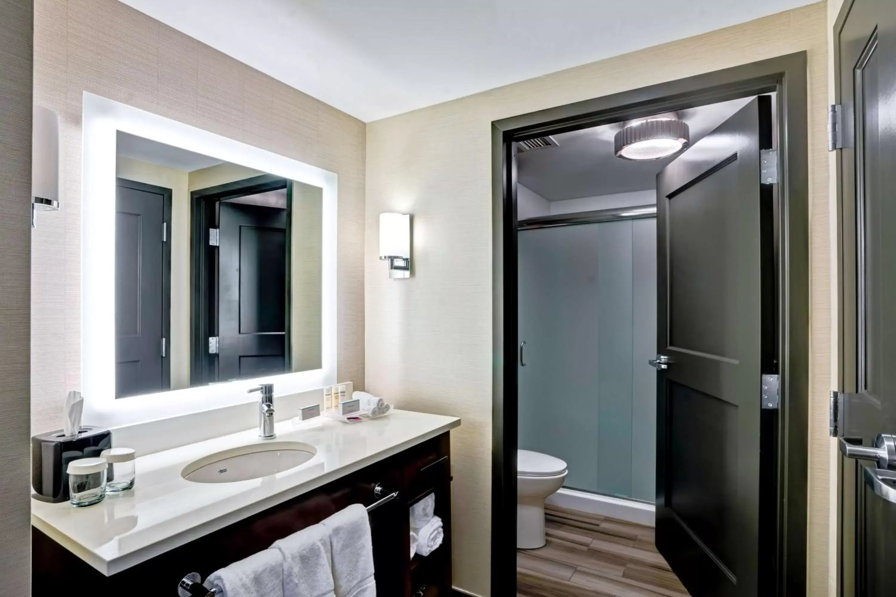 Bathroom in Homewood Suites by Hilton Boston Brookline-Longwood Medical