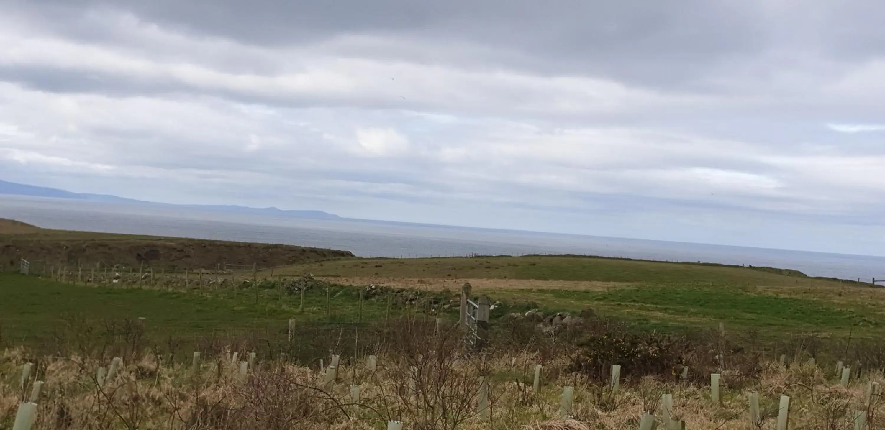 Natural Landscape in Causeway Hotel