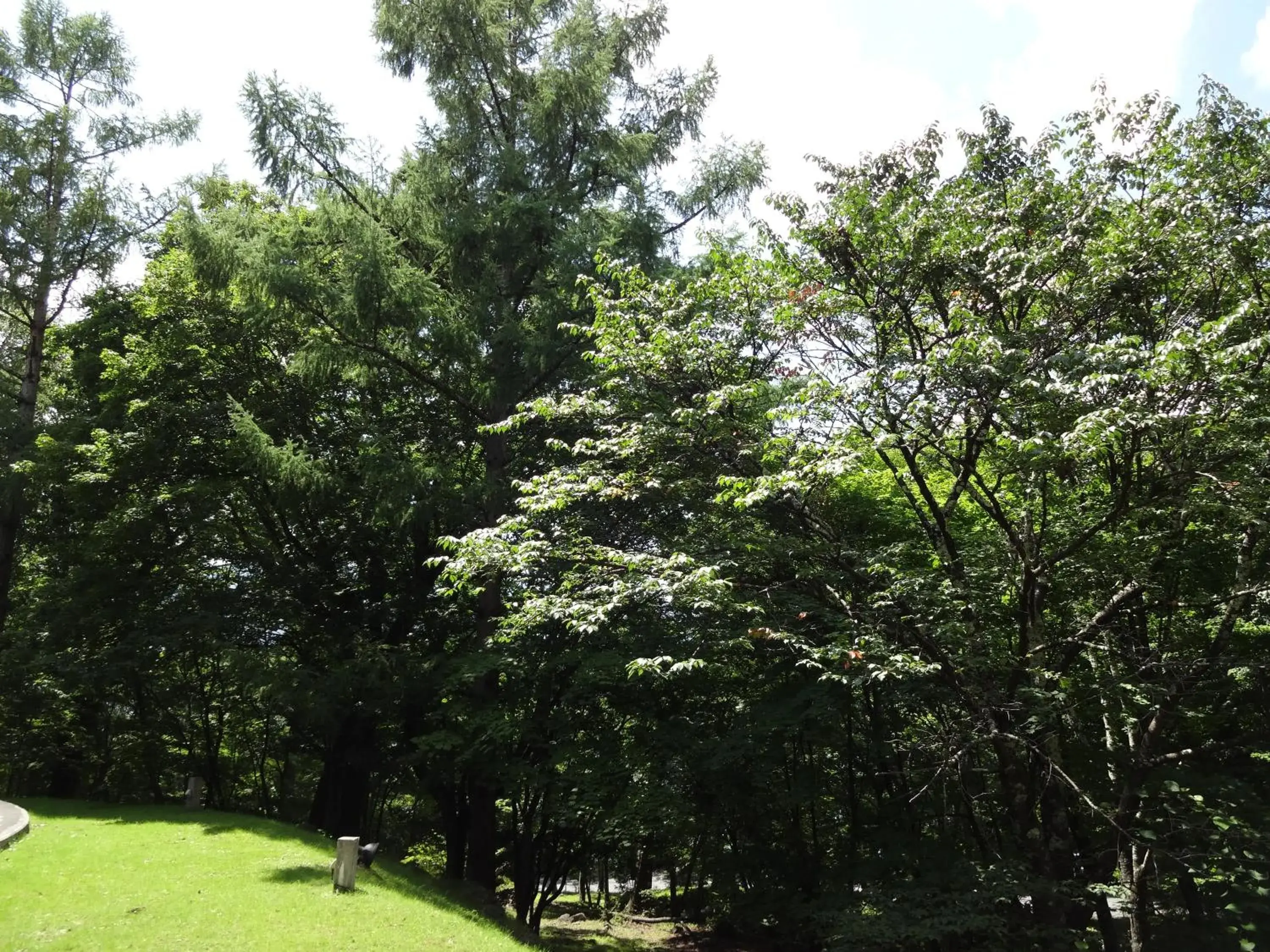 Area and facilities, Garden in Chuzenji Kanaya Hotel