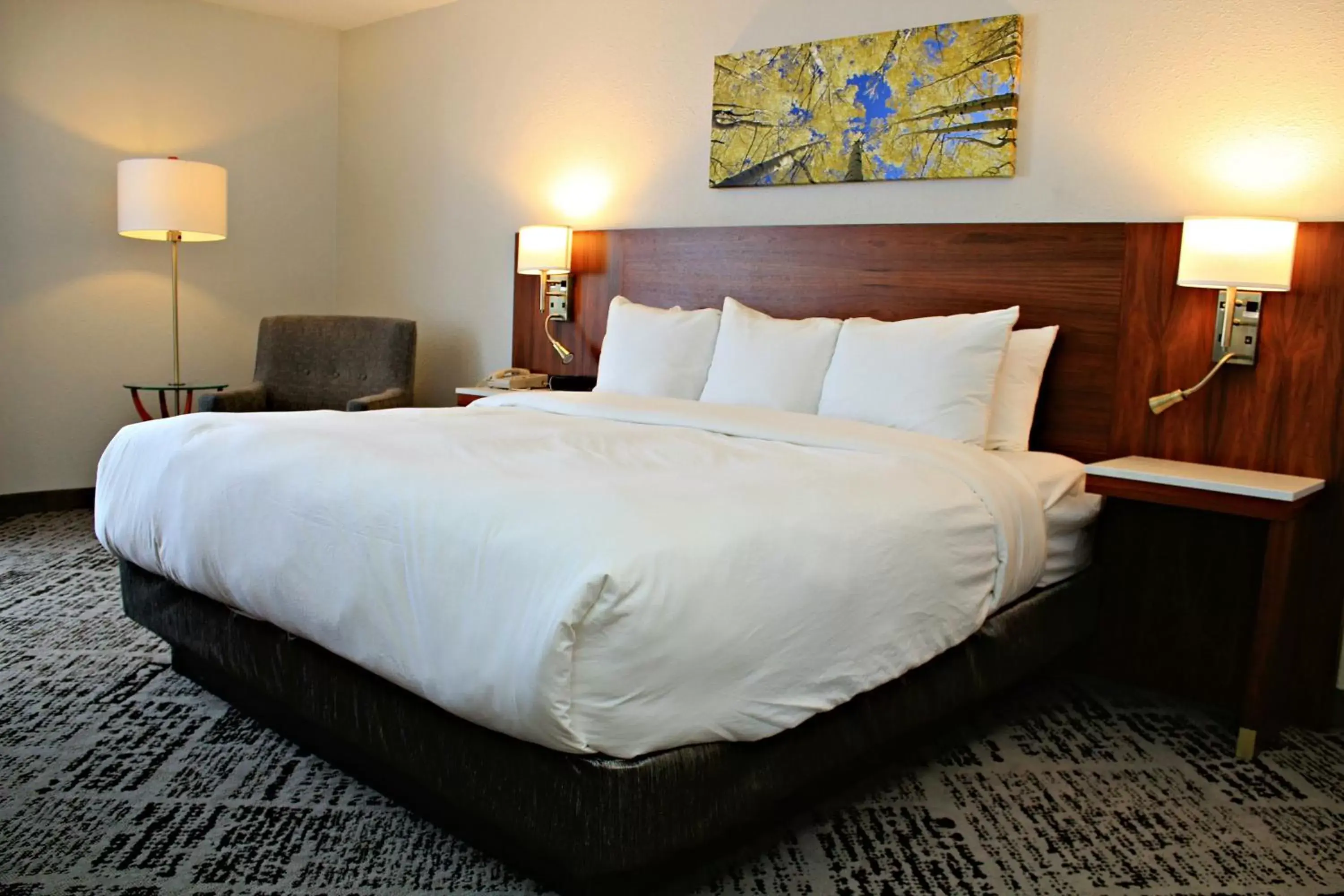 Bed in Radisson Hotel Denver Central
