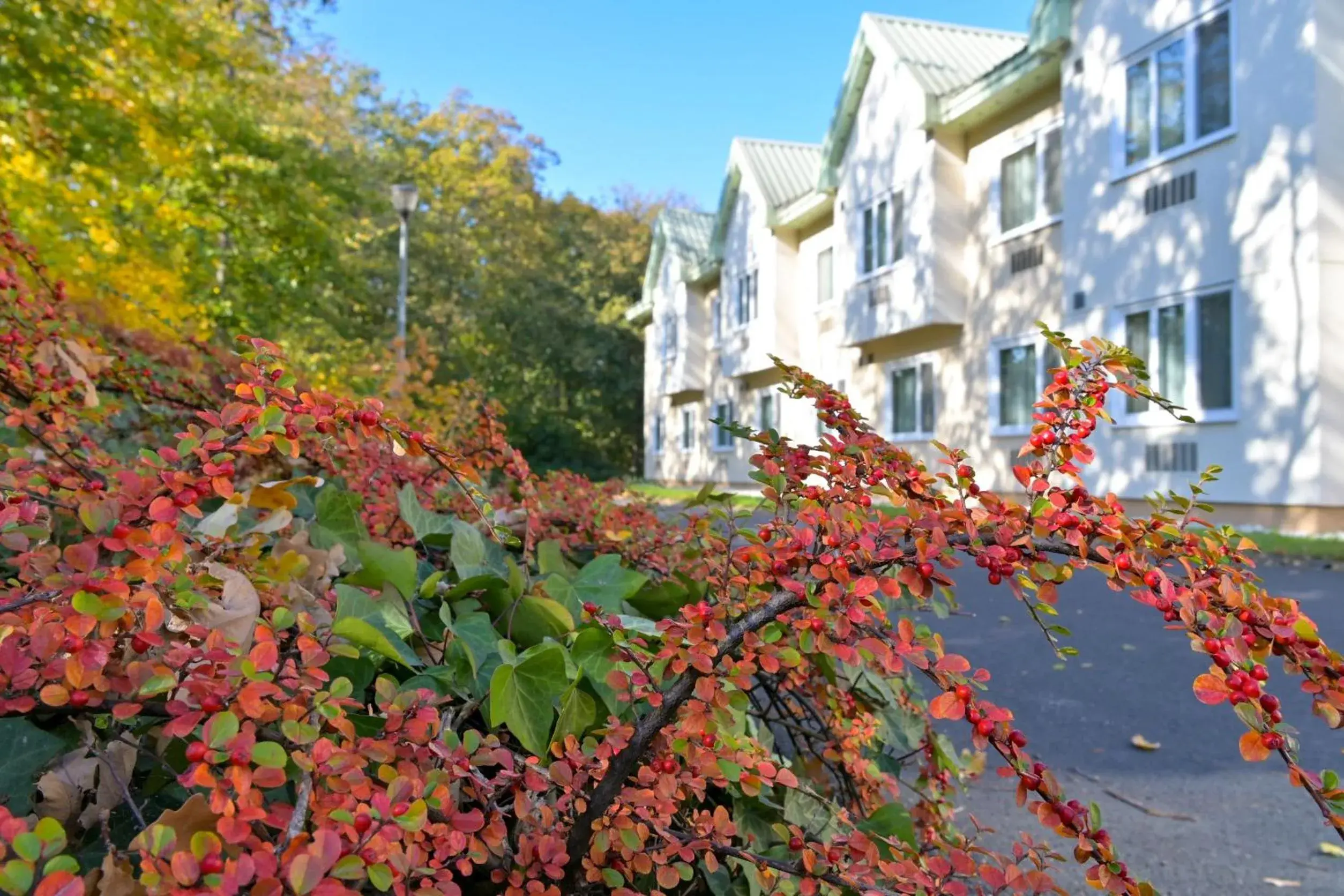 Garden view, Property Building in Hotel HP Park