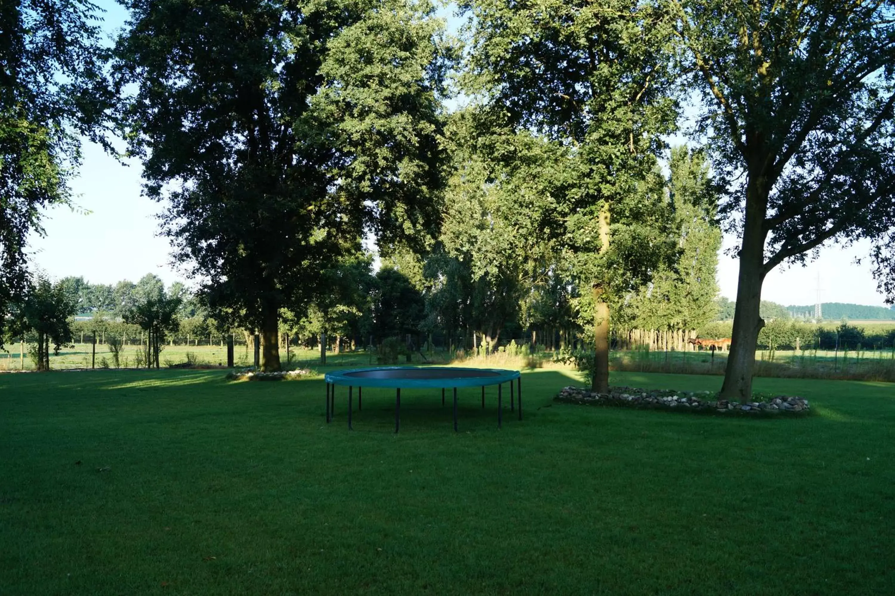 Garden in B&B Johannes-Hoeve