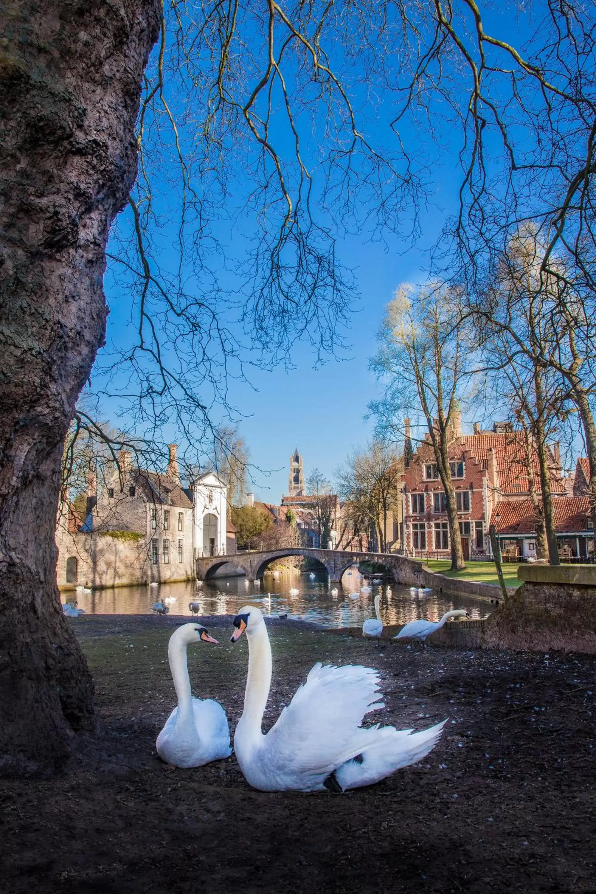 Autumn in Radisson Blu Hotel, Bruges