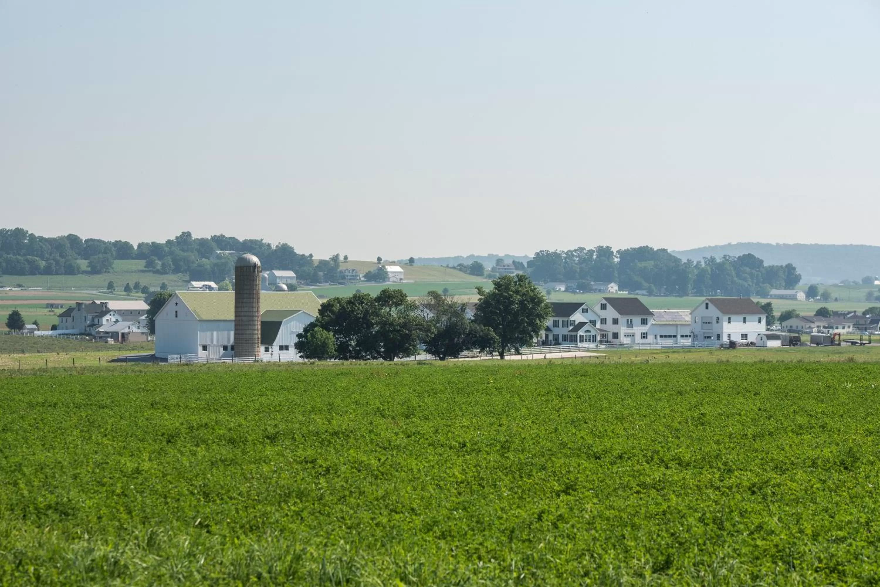 View (from property/room) in Travelers Rest Motel
