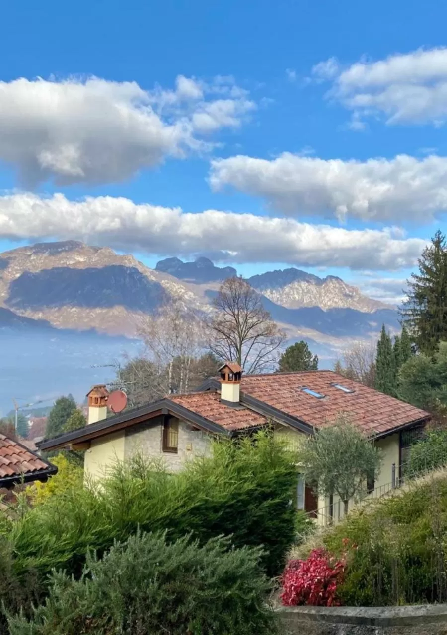 Neighbourhood in Villa Fiesta