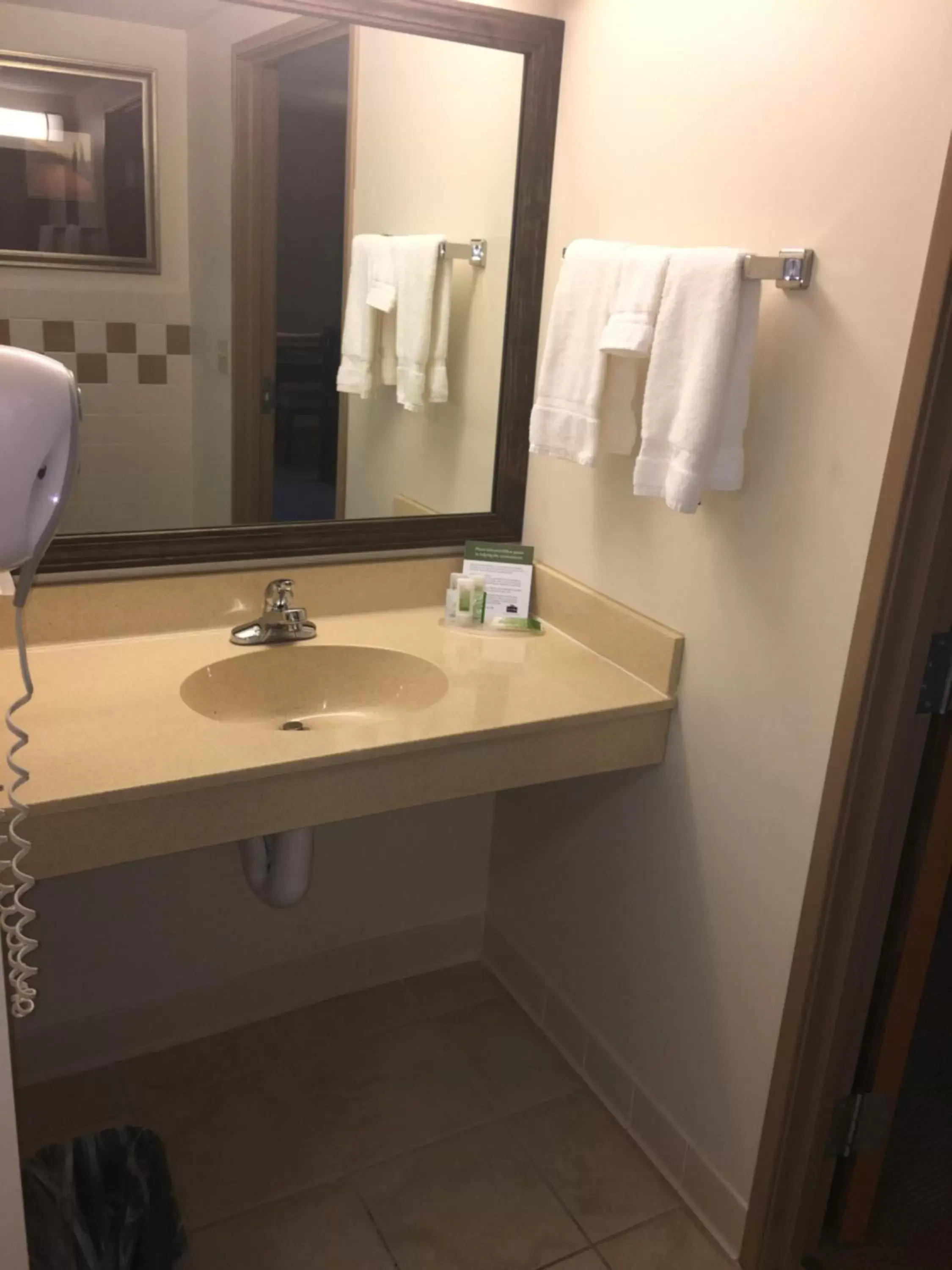 Bathroom in AmericInn by Wyndham Monmouth