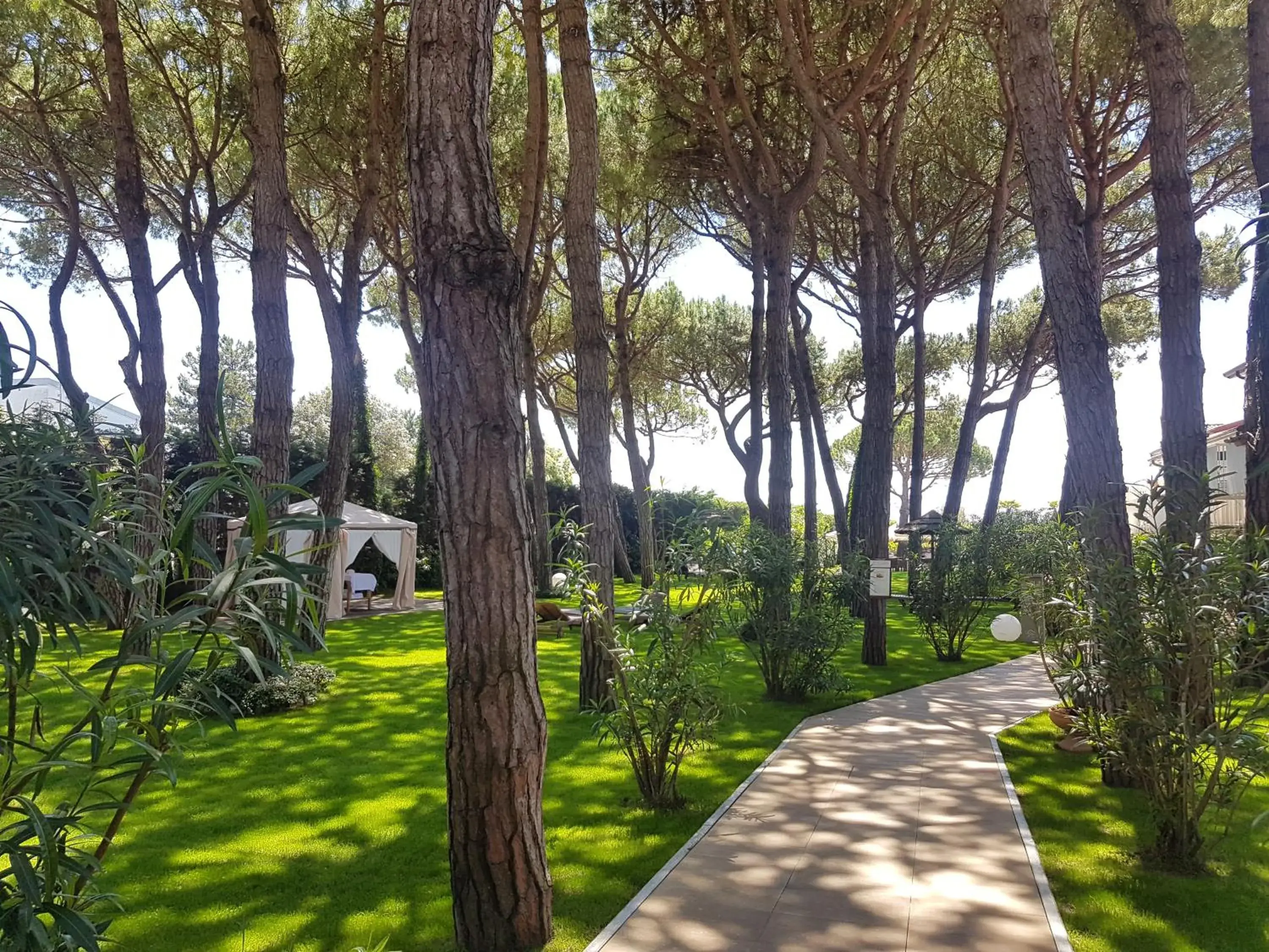 Garden in Hotel Gallia & Resort