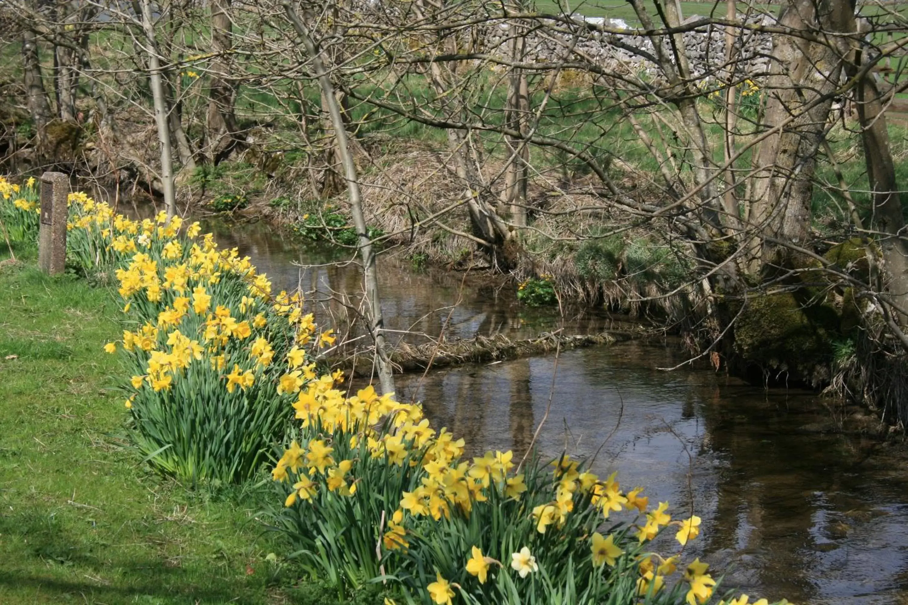 Natural landscape in Tennant Arms Hotel