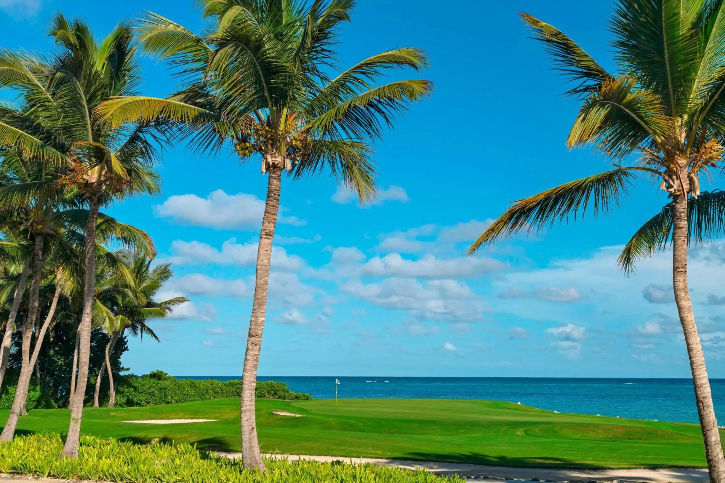 Golfcourse in The Westin Puntacana Resort & Club