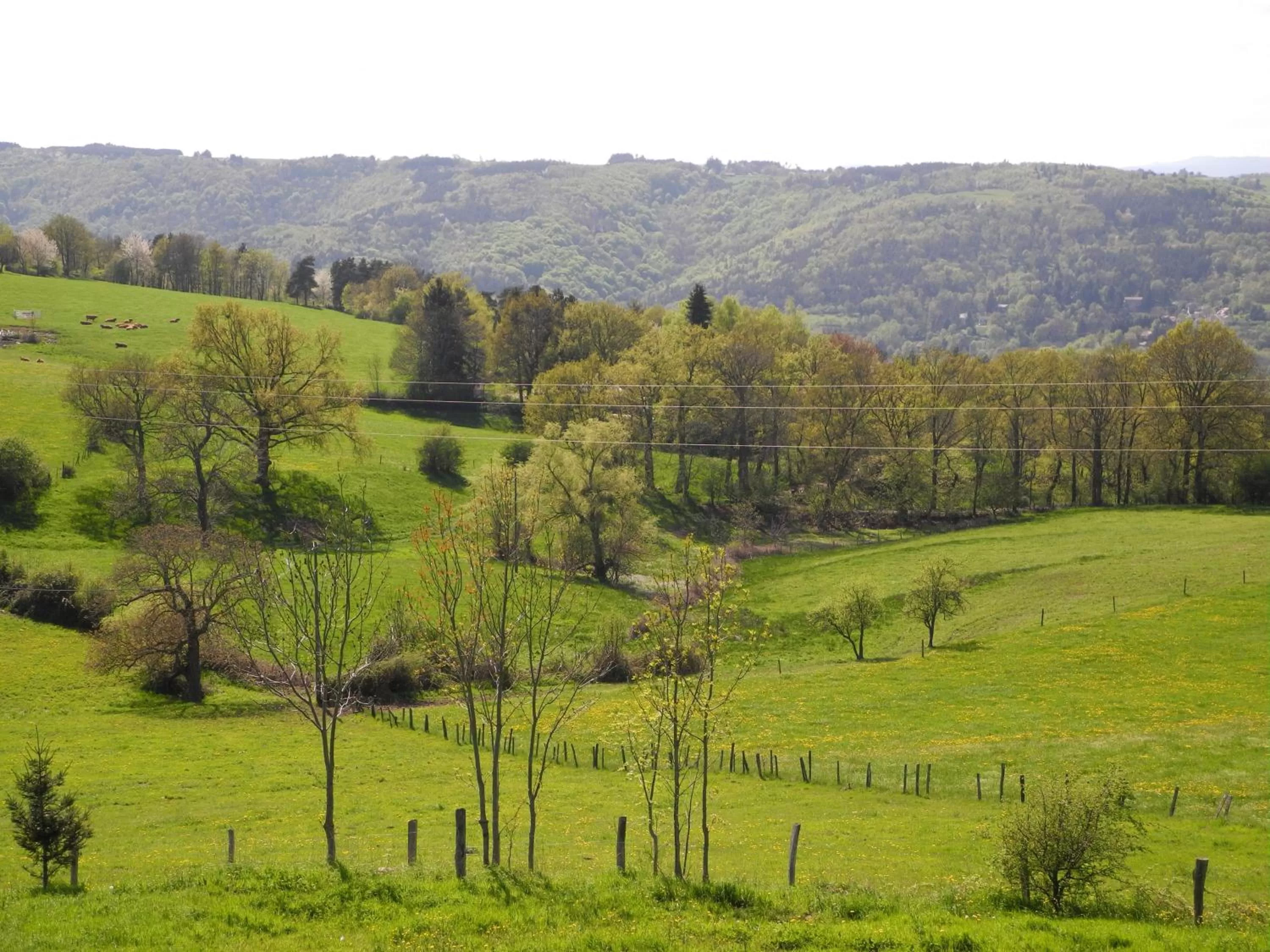 Natural landscape in Le Plateau de la Danse