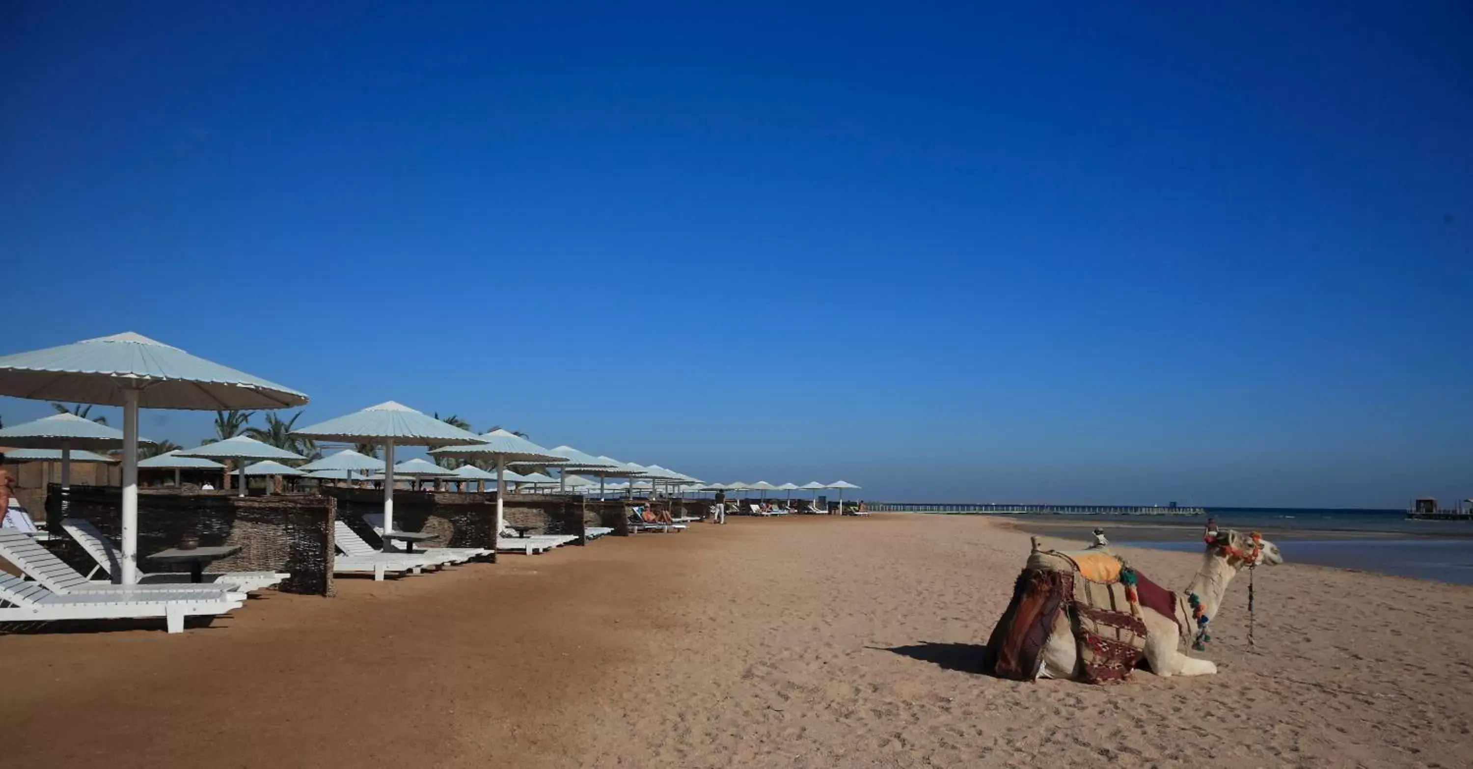 Beach in Pharaoh Azur Resort