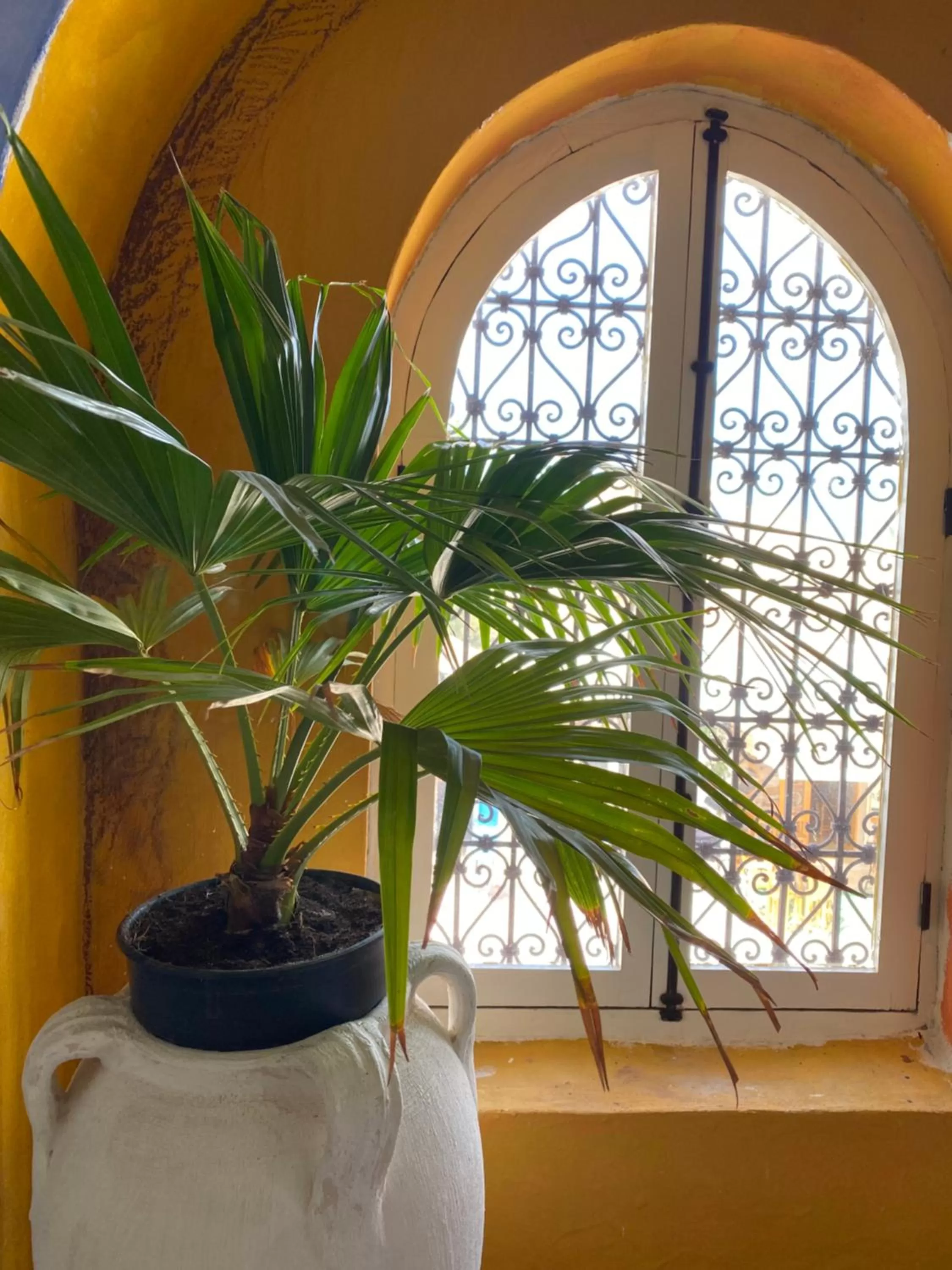 Lobby or reception in Djerba Authentique