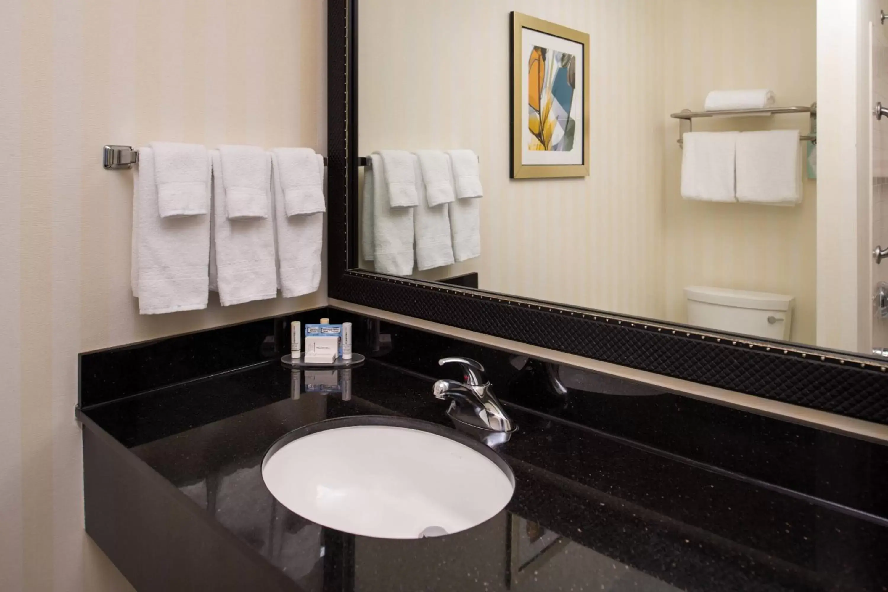 Bathroom in Fairfield Inn and Suites by Marriott San Antonio Northeast / Schertz / RAFB