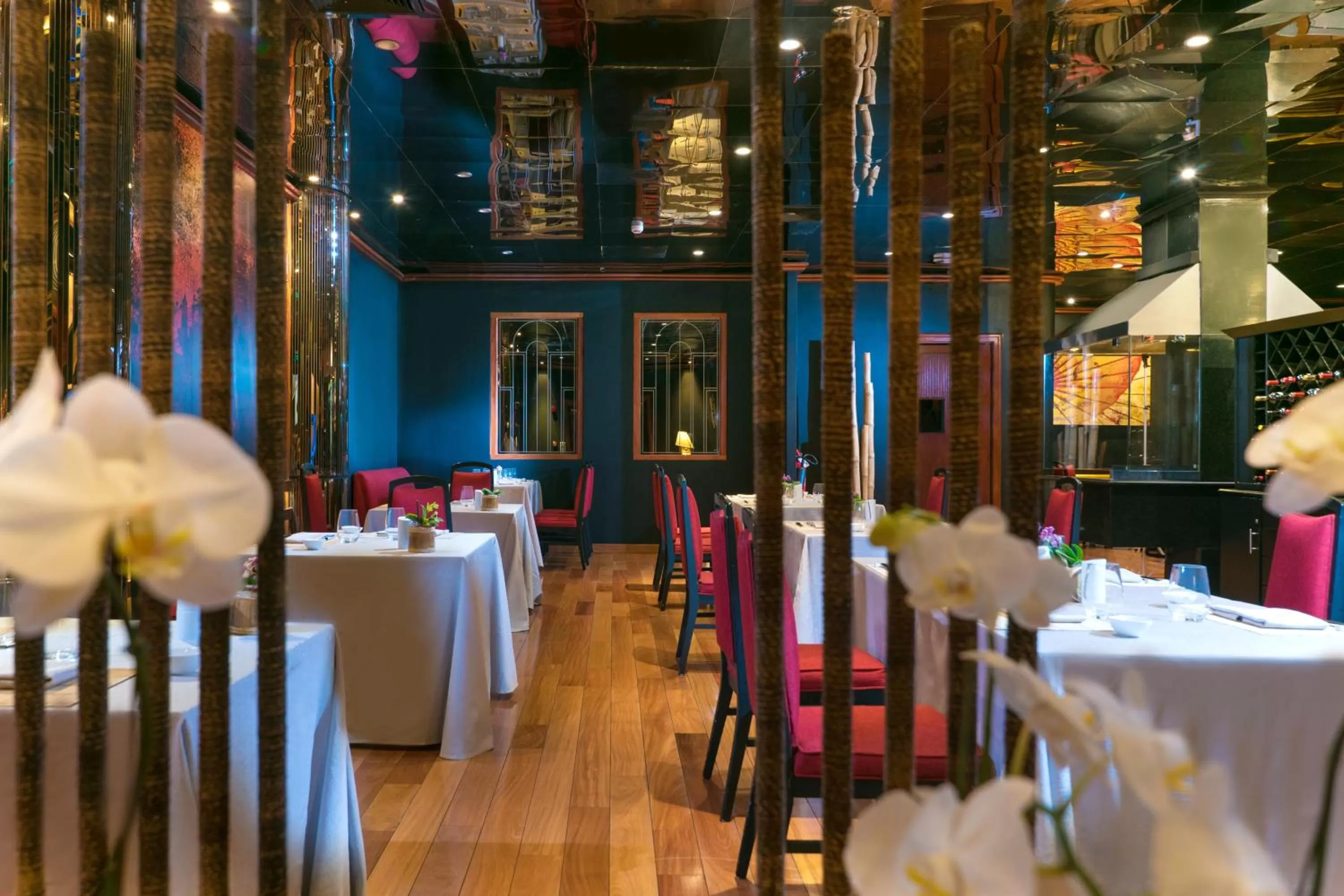 Restaurant/places to eat in Barceló Santo Domingo