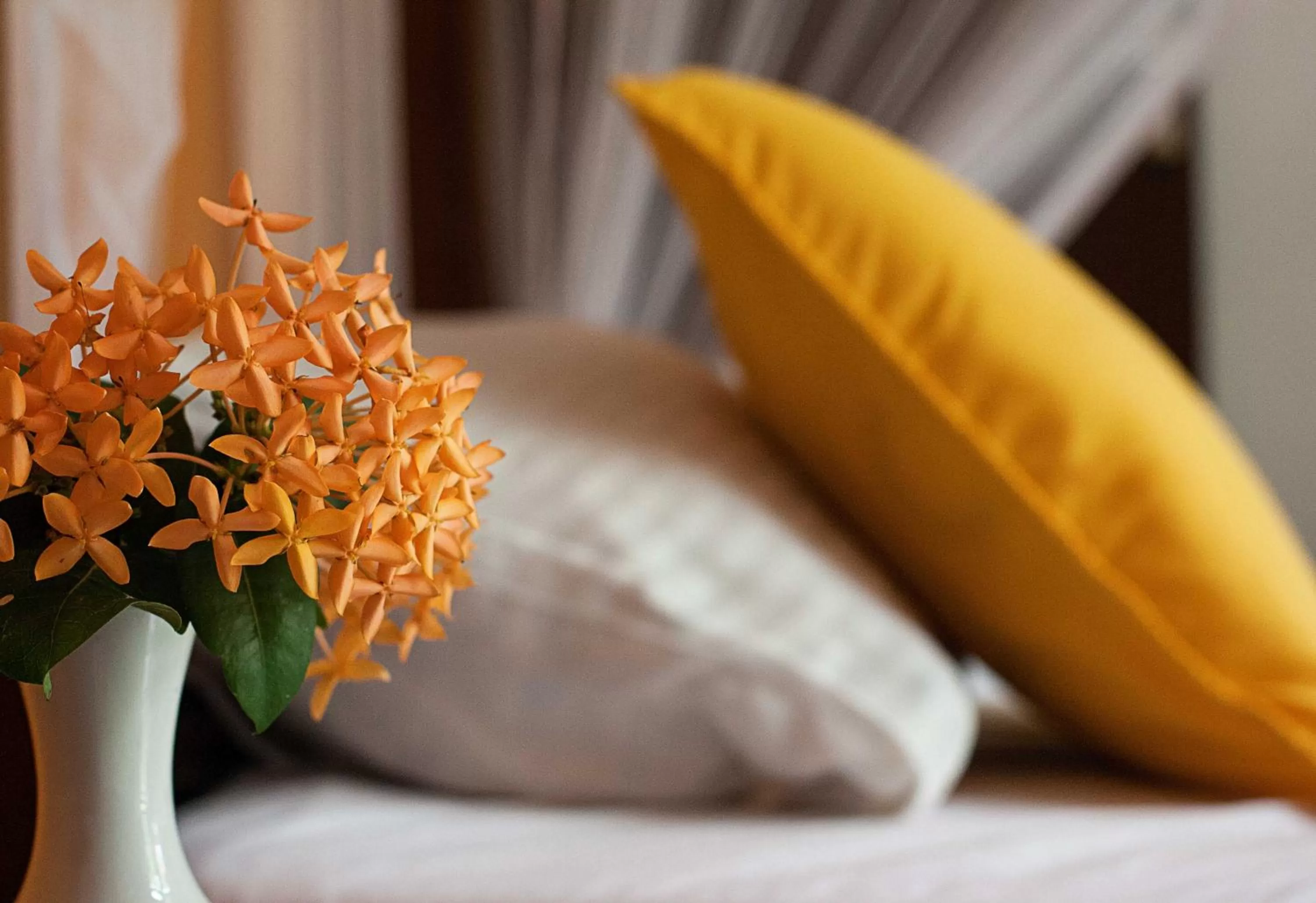 Bed in Villa Taprobane