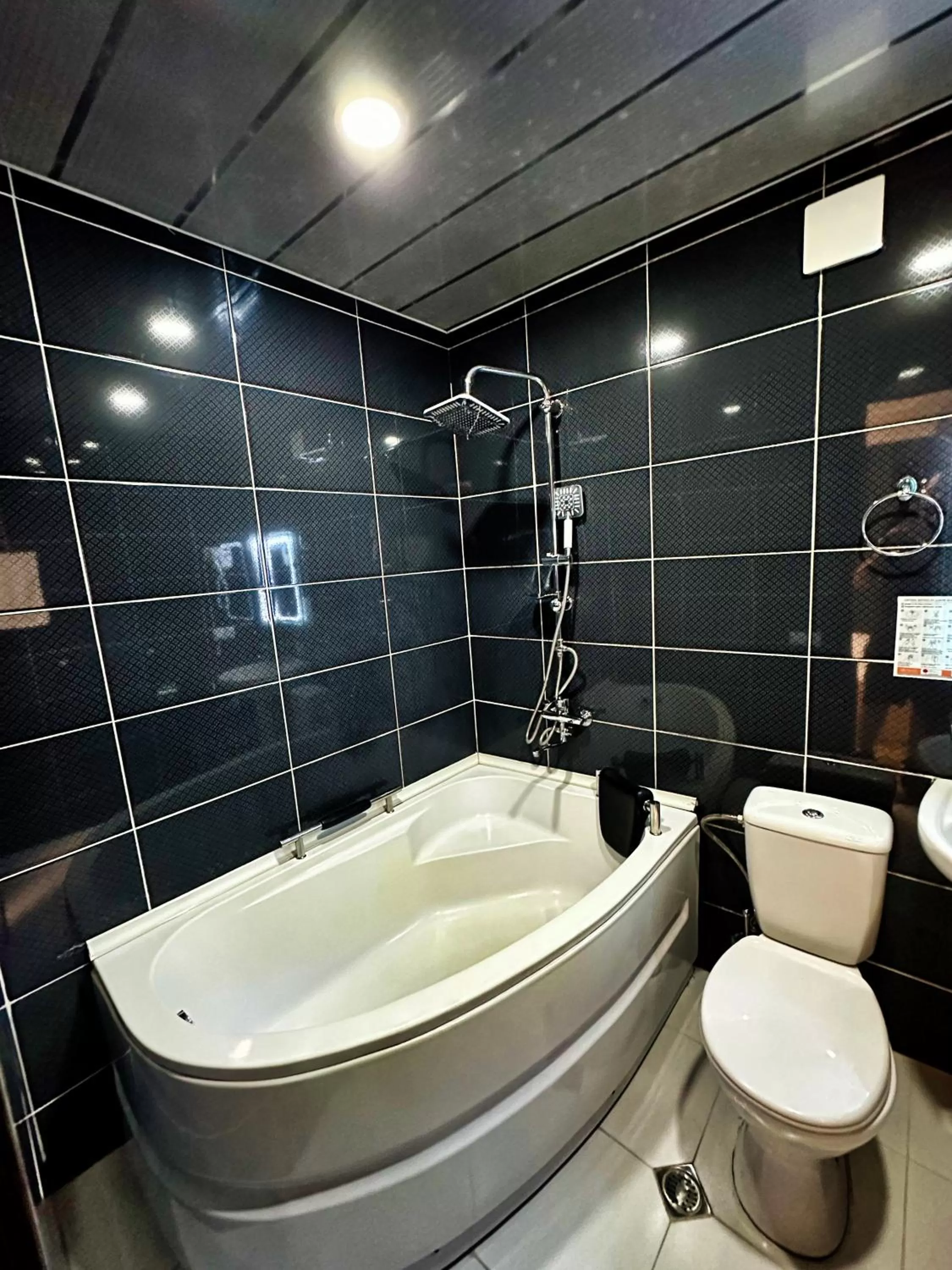 Toilet, Bathroom in Metekhi View Hotel